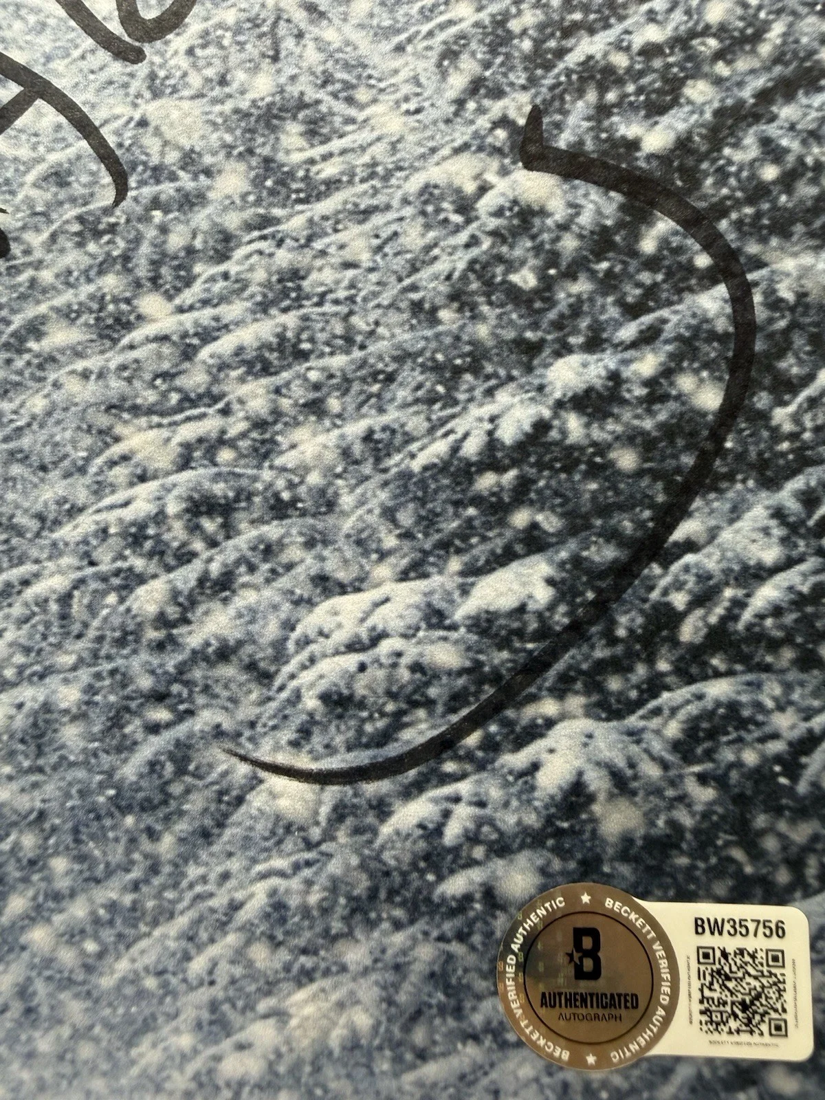 Alejandro Inarritu — Alejandro Inarritu Autograph Signed 8x10 The Revenant Script Cover Beckett COA, image 3