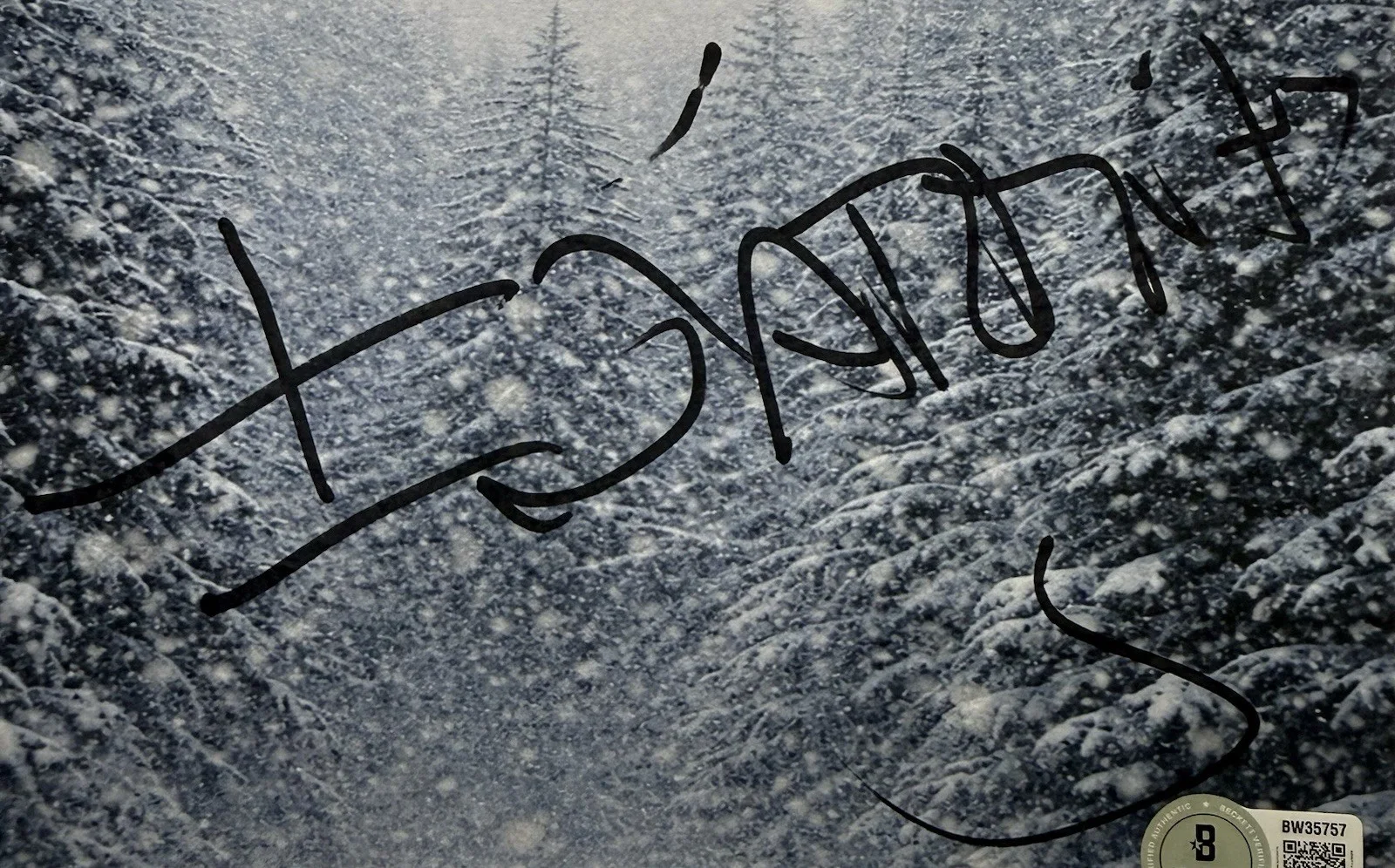Alejandro Inarritu — Alejandro Inarritu Autograph Signed 8x10 The Revenant Script Cover Beckett COA, image 2
