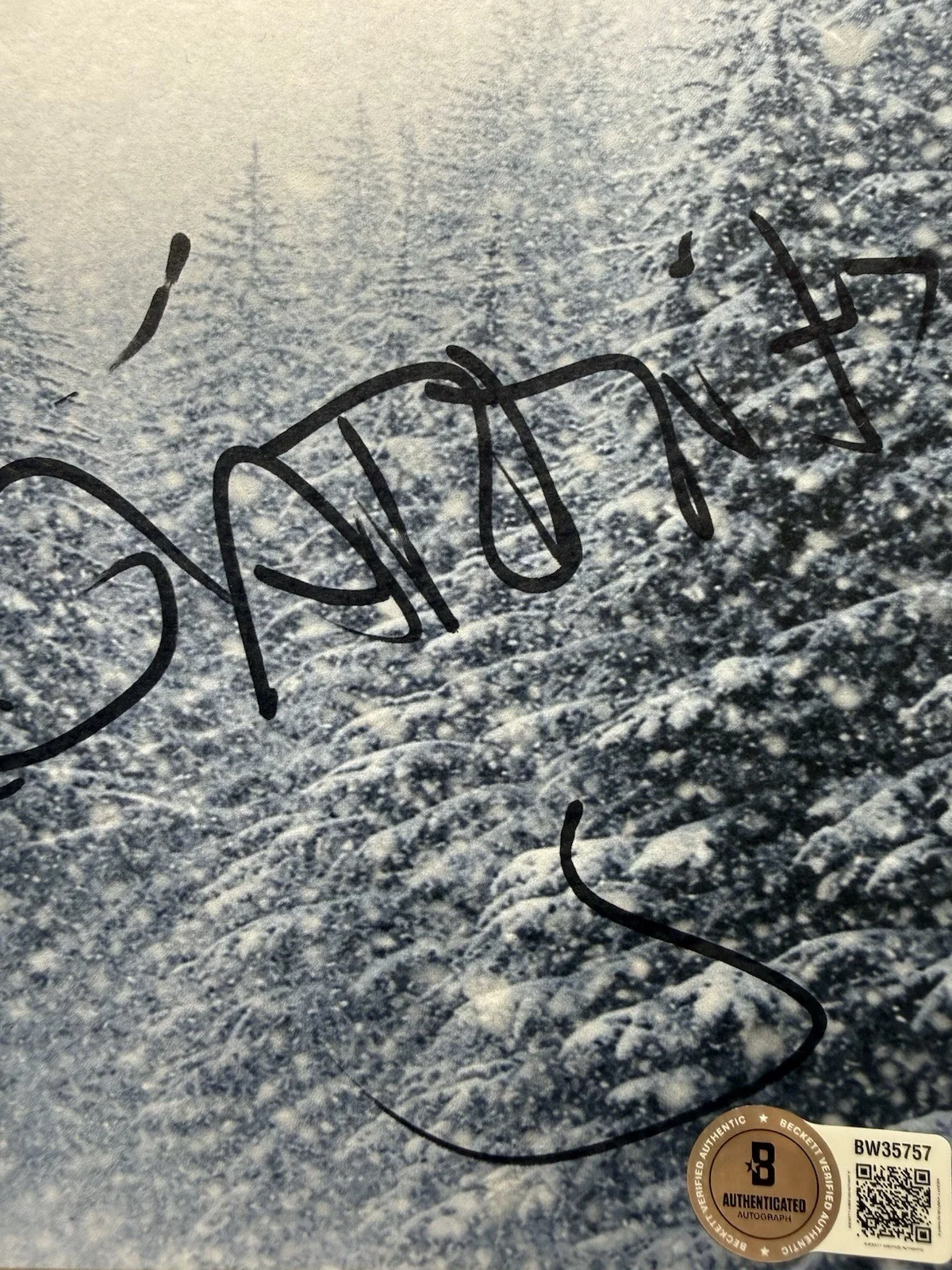 Alejandro Inarritu — Alejandro Inarritu Autograph Signed 8x10 The Revenant Script Cover Beckett COA, image 3