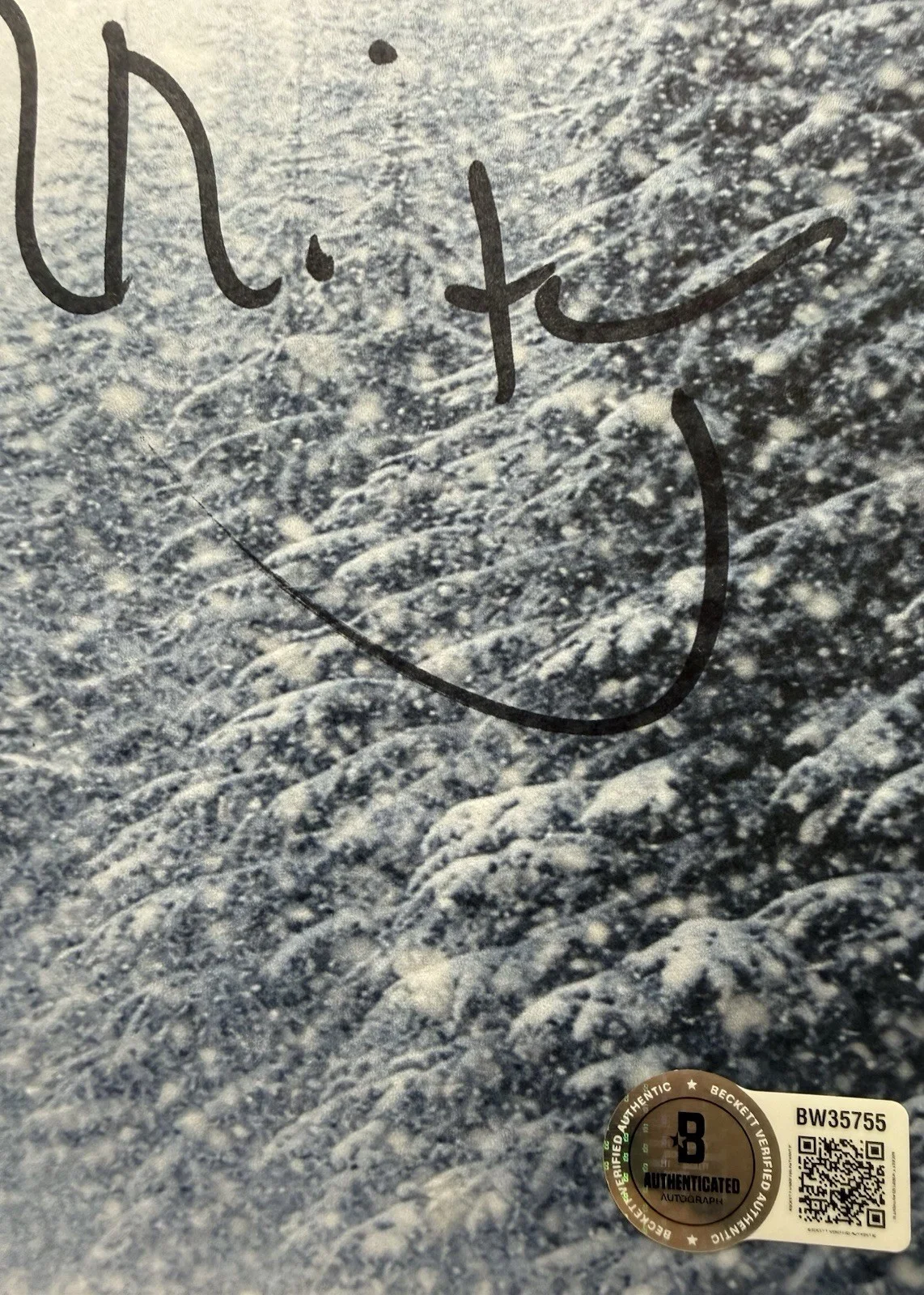 Alejandro Inarritu — Alejandro Inarritu Autograph Signed 8x10 The Revenant Script Cover Beckett COA, image 3