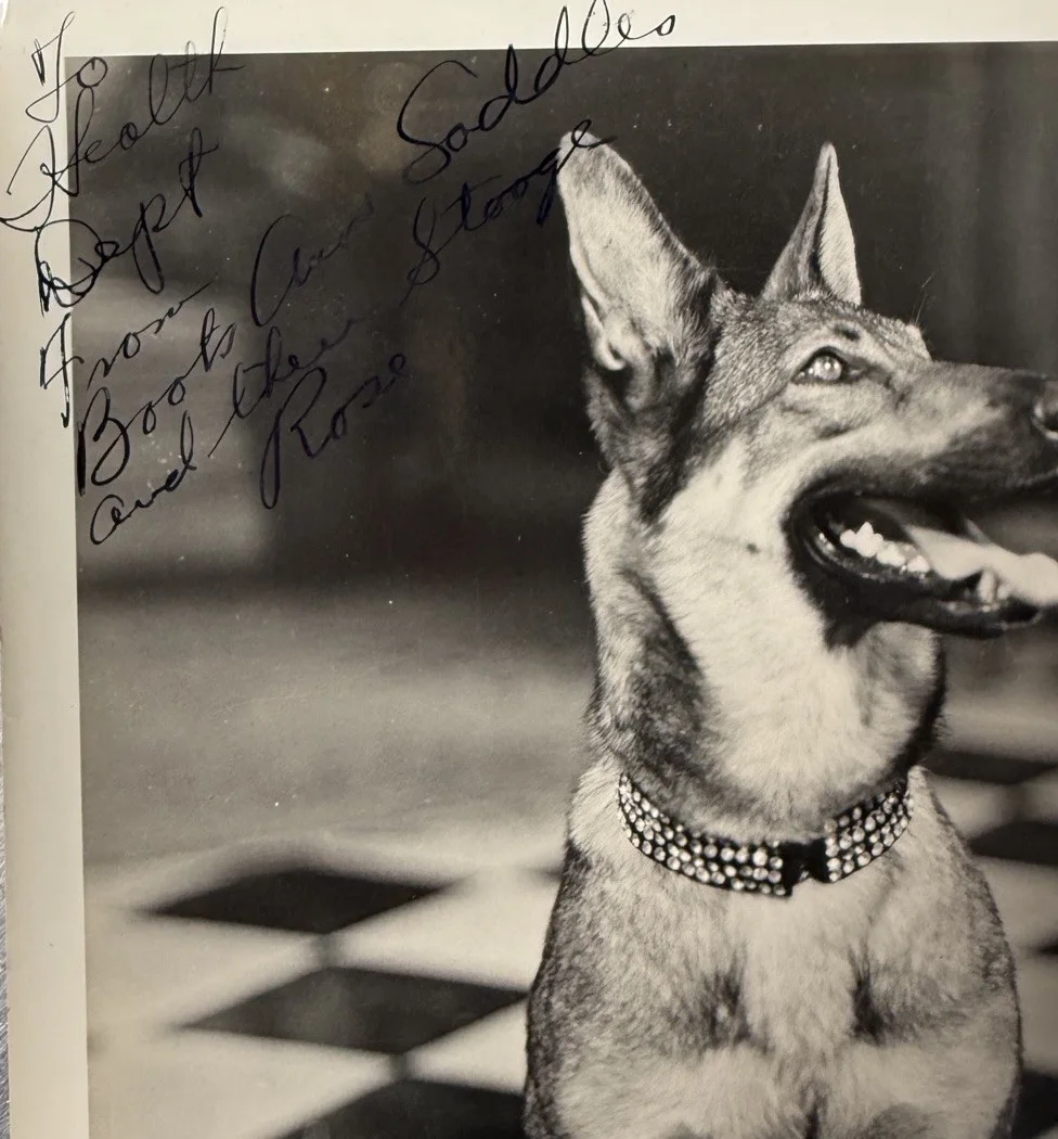 Vintage 1930s Signed Photo 8X10" Boots The Wonder Dog German Shepherd Bert Rose, image 2