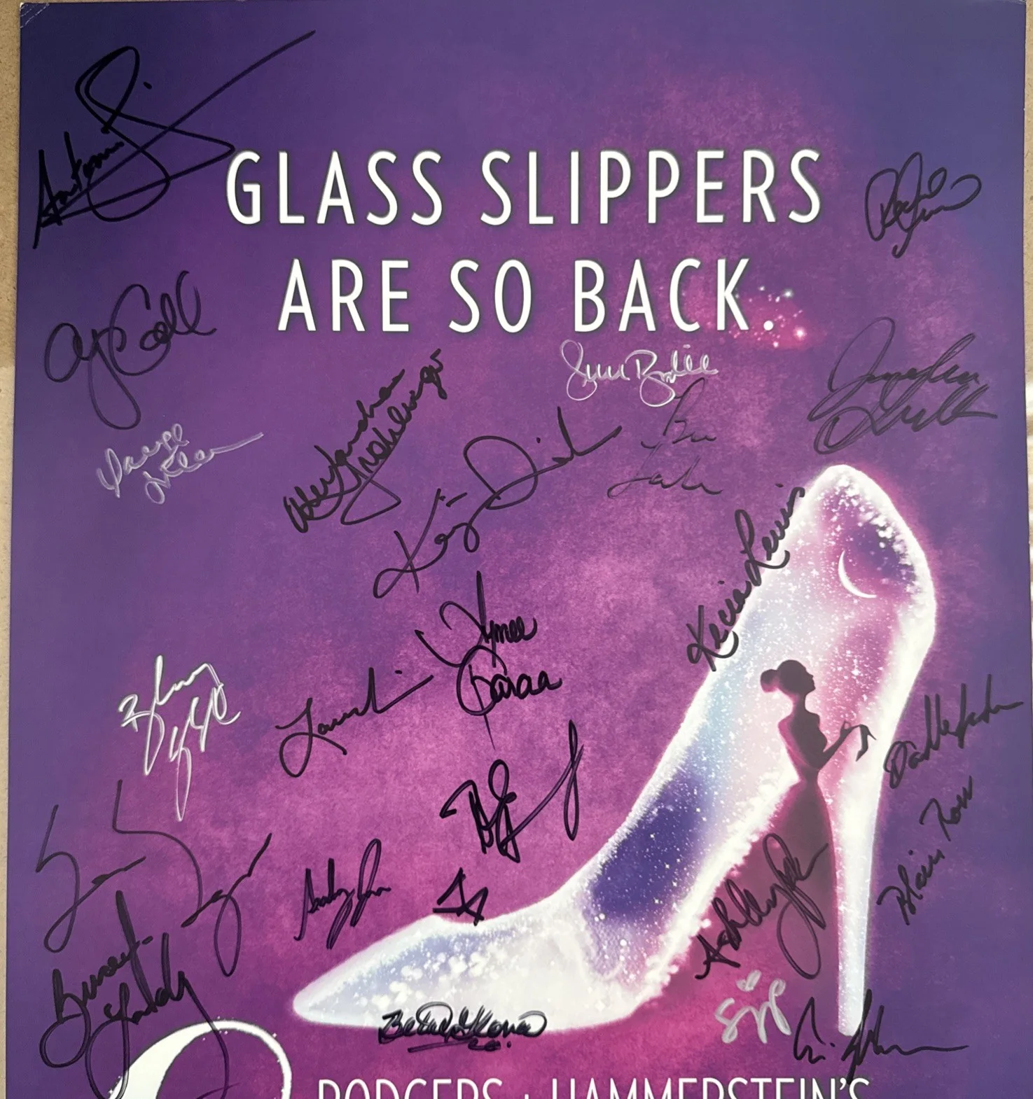 Kecia Lewis — Cinderella Poster National Tour Cast Signed 30 Signatures, image 2