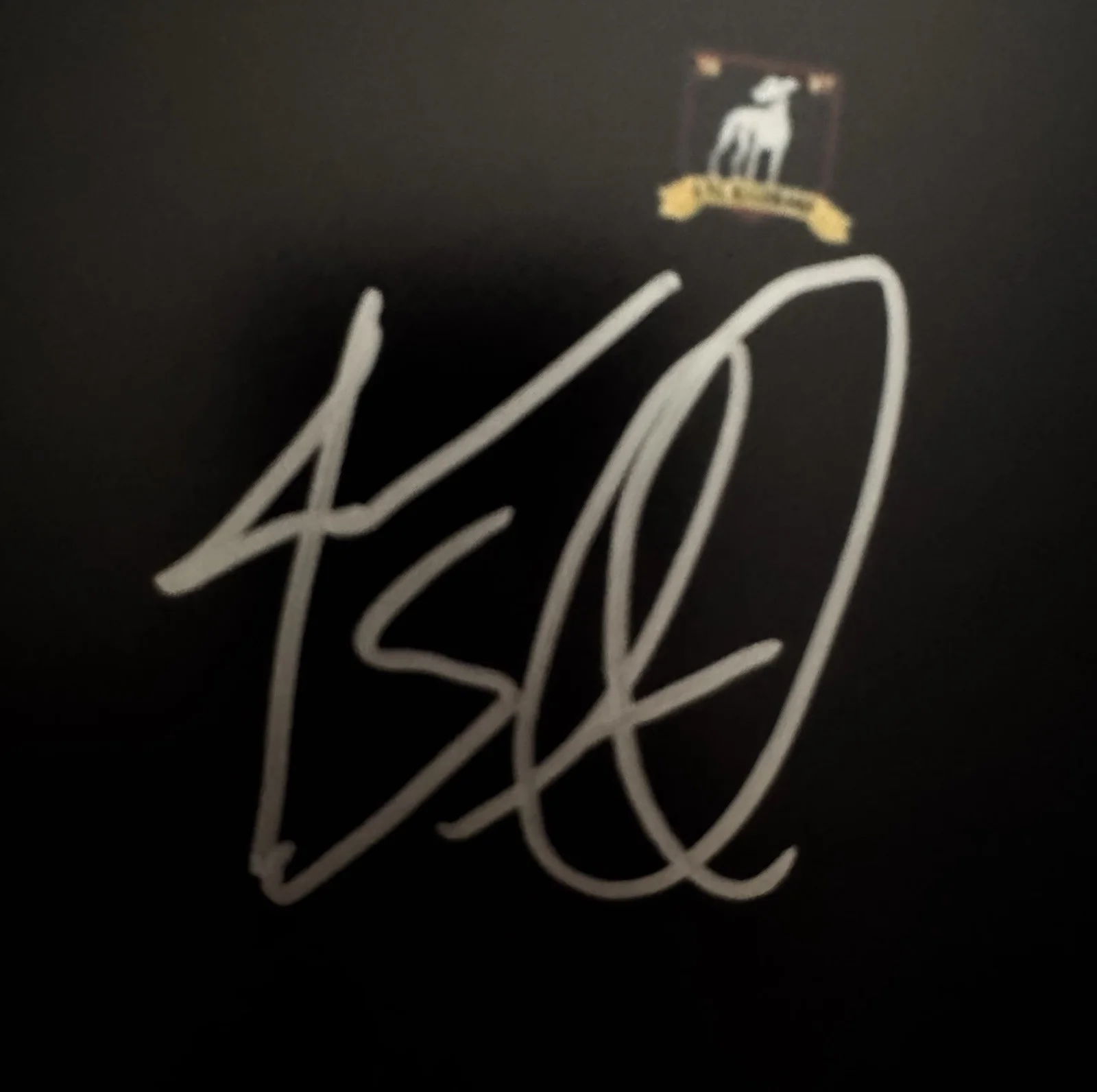 Jason Sudeikis — Ted Lasso Jason Sudeikis signed 8x10 Photo AFC Richmond SNL COA, изображение 2