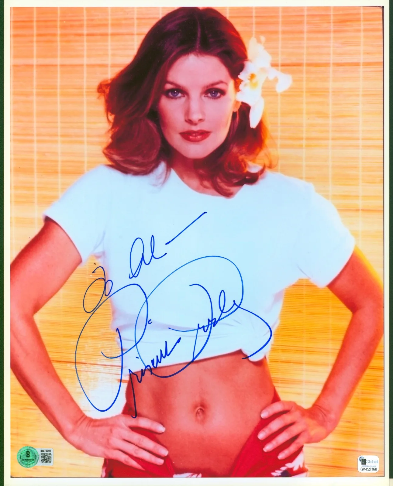 Priscilla Presley — PRISCILLA PRESLEY Signed Large 11x14 Sexy Bare Midriff Photo Elvis' Wife GA BAS