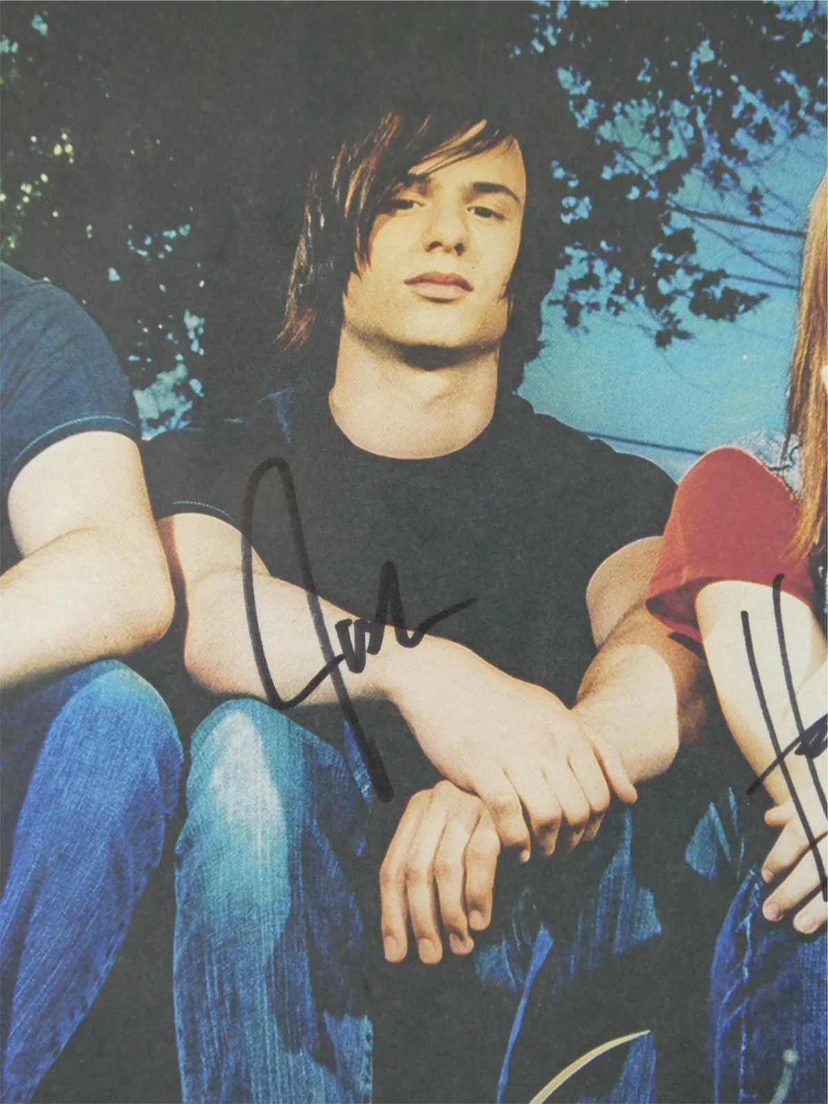 Paramore Signed Poster Hayley Williams +4, 11x15.25, Full Band, JSA COA LOA, image 4