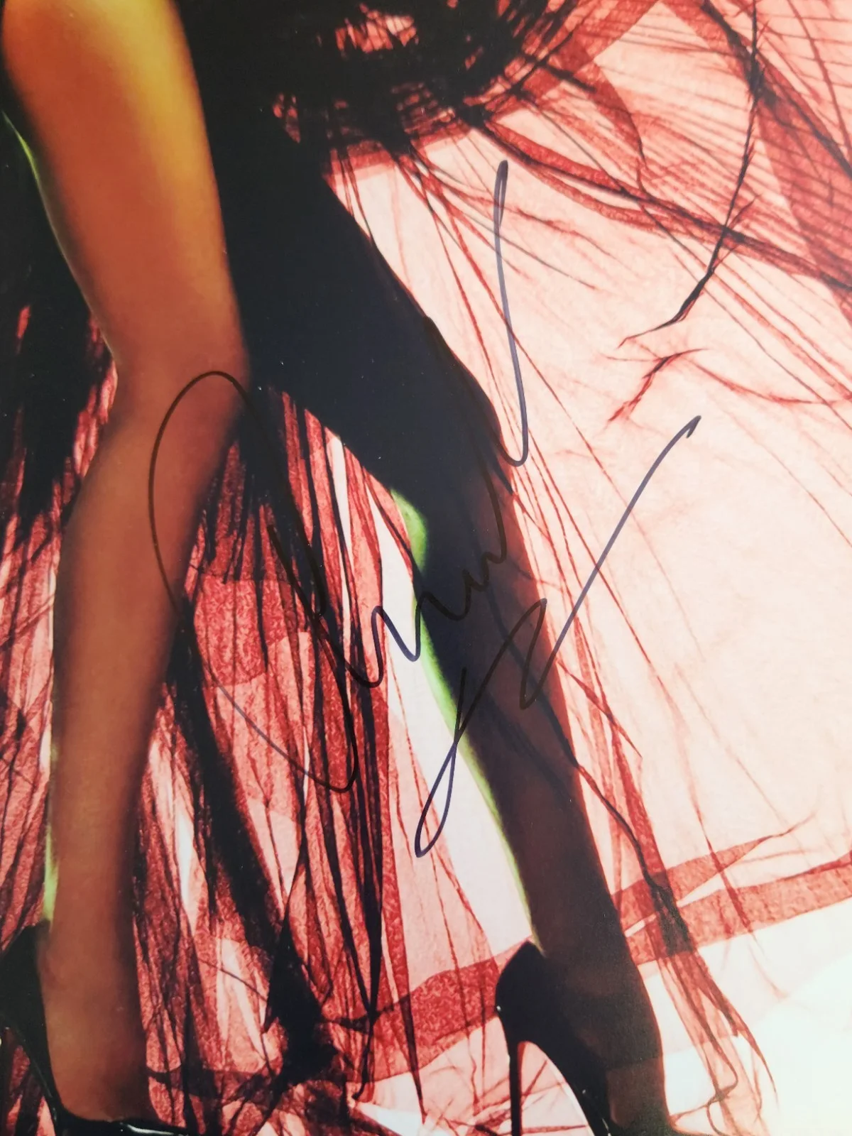 Anne Vyalitsyna Signed Autographed 14x11" Photograph AW Sexy Portrait, изображение 2