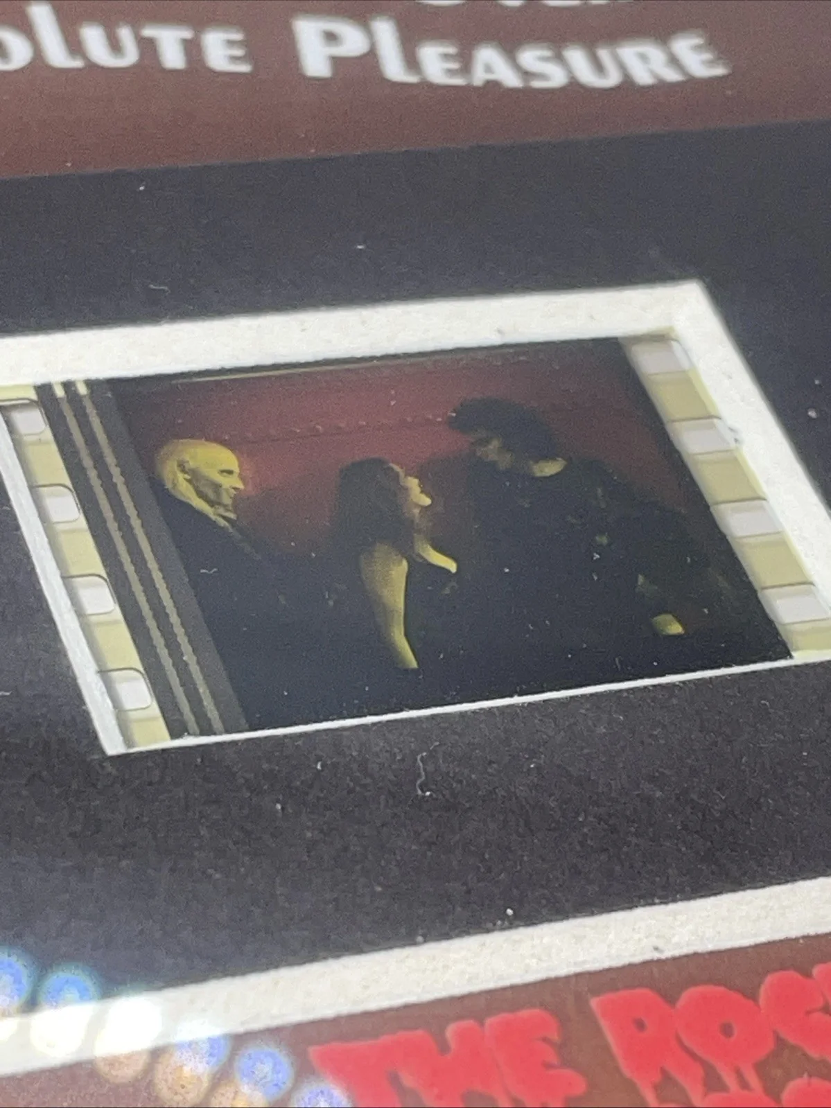Rocky Horror Picture Show Genuine 35mm Film Cell Mounted Display Framed with COA, image 3