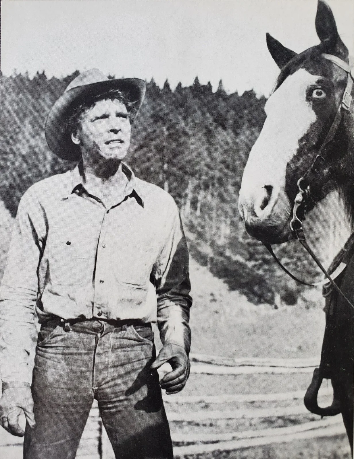 VENGEANCE VALLEY - VINTAGE ORIGINAL 1951 PROGRAM - BURT LANCASTER, ROBERT WALKER, image 5