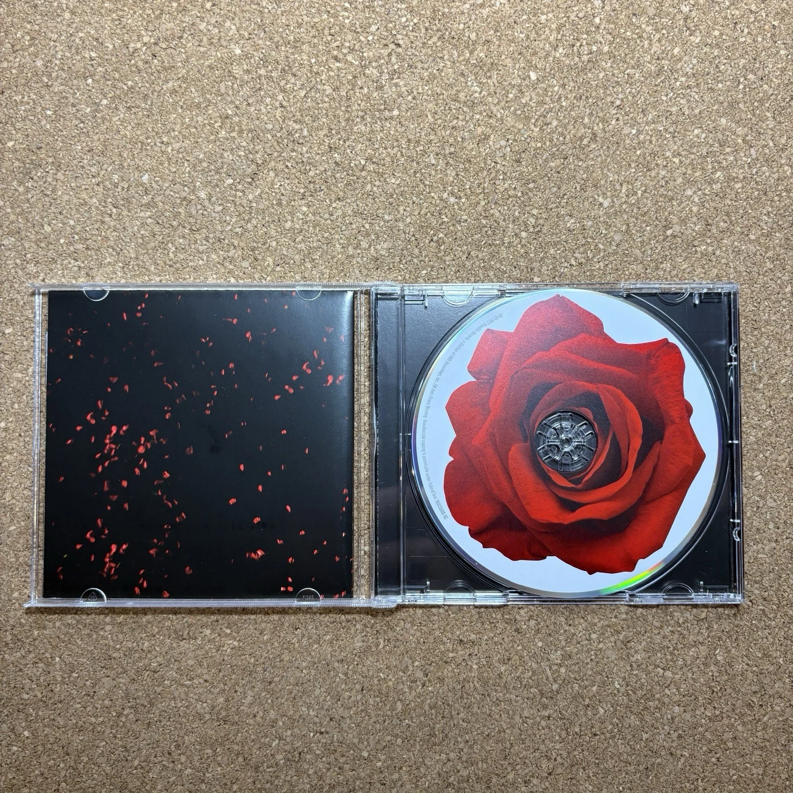 CONAN GRAY - SUPERACHE CD - SIGNED / AUTOGRAPHED INSERT, image 4