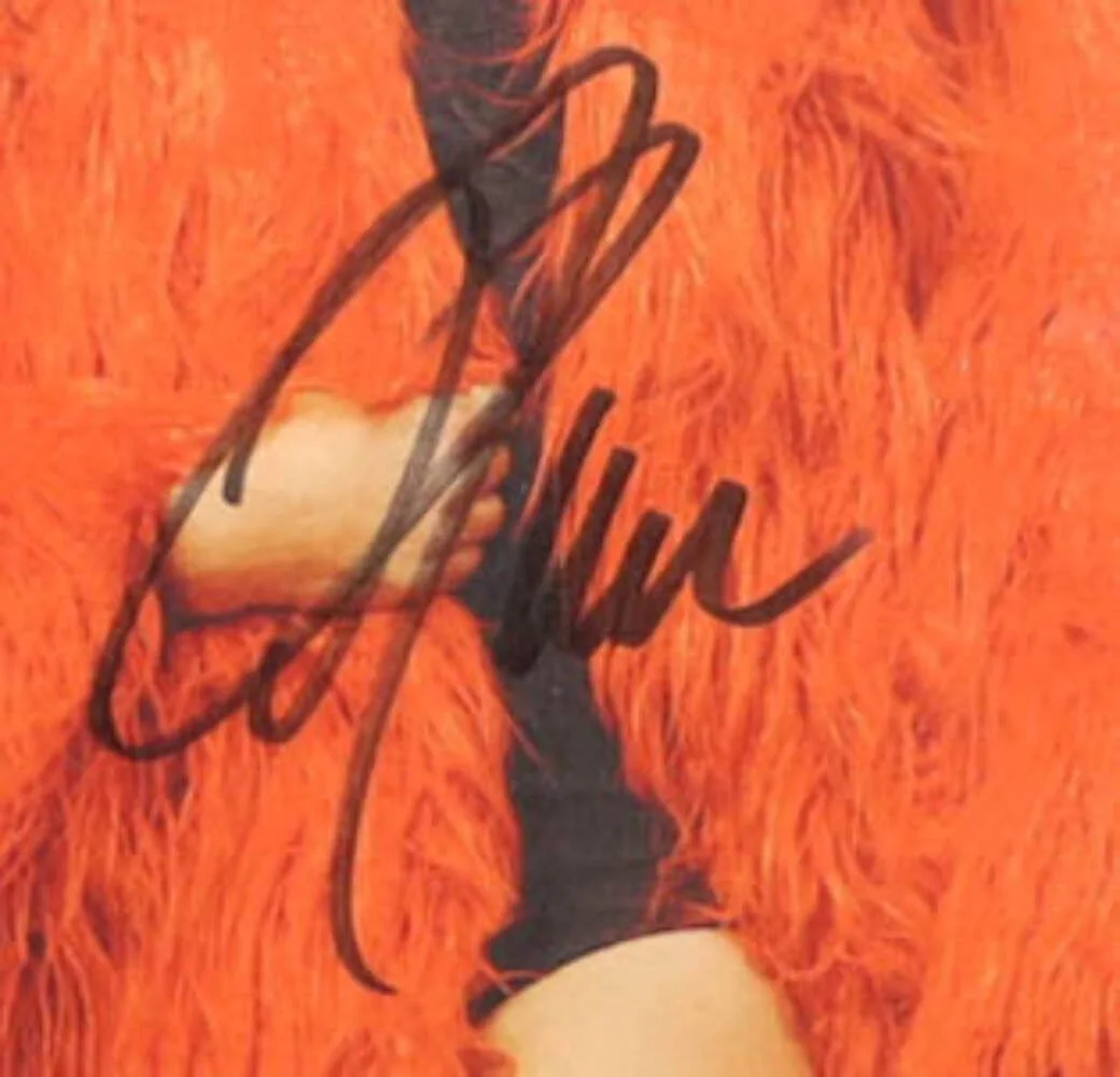 Karen Fairchild, Kimberly Schlapman, Phillip Sweet, Jimi Westbr — Little Big Town Band-Singed (JSA) by (4) Karen Fairchild, Kimberly Schlapman, Ph, image 3