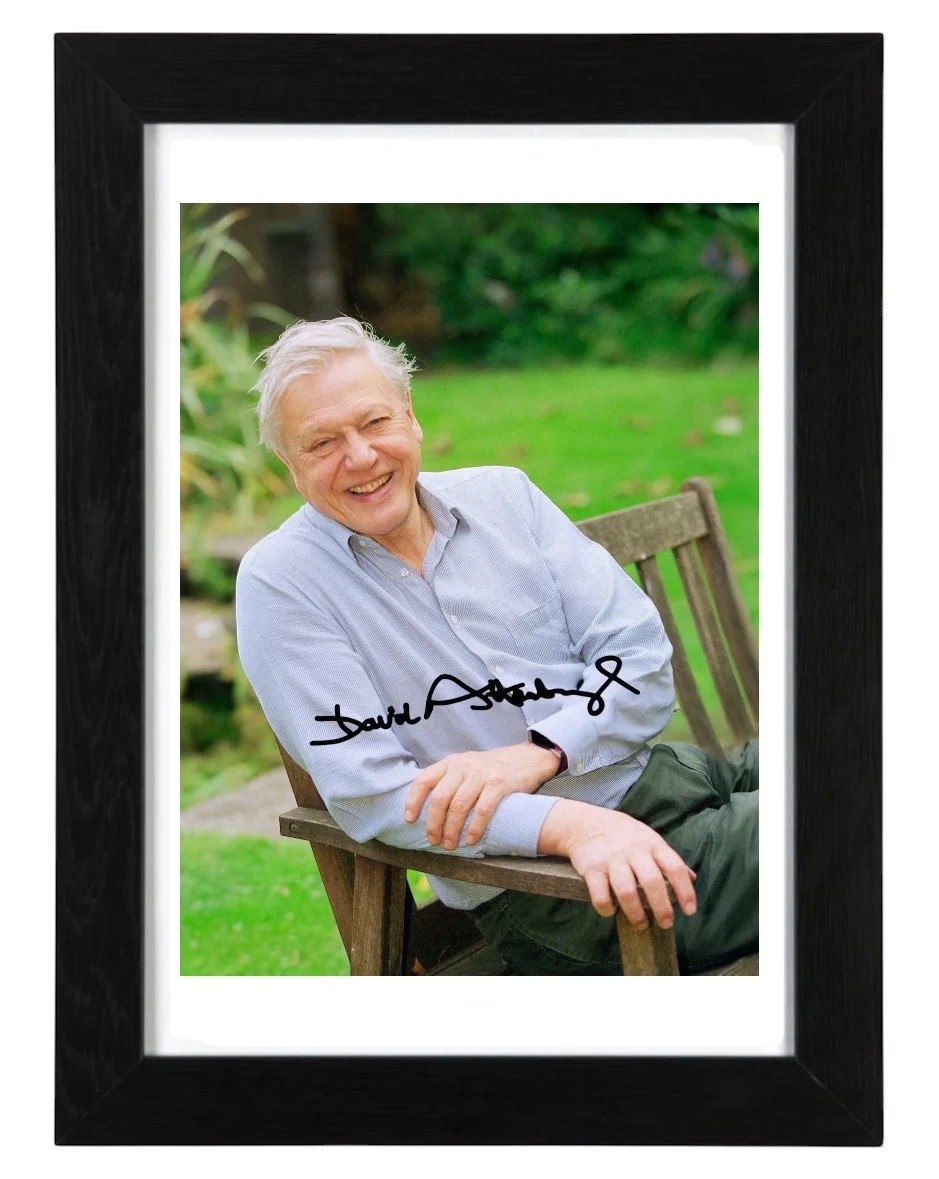 Sir David Attenborough Signed Autograph PHOTO Pre Print 6x4/A4/ Framed, изображение 2