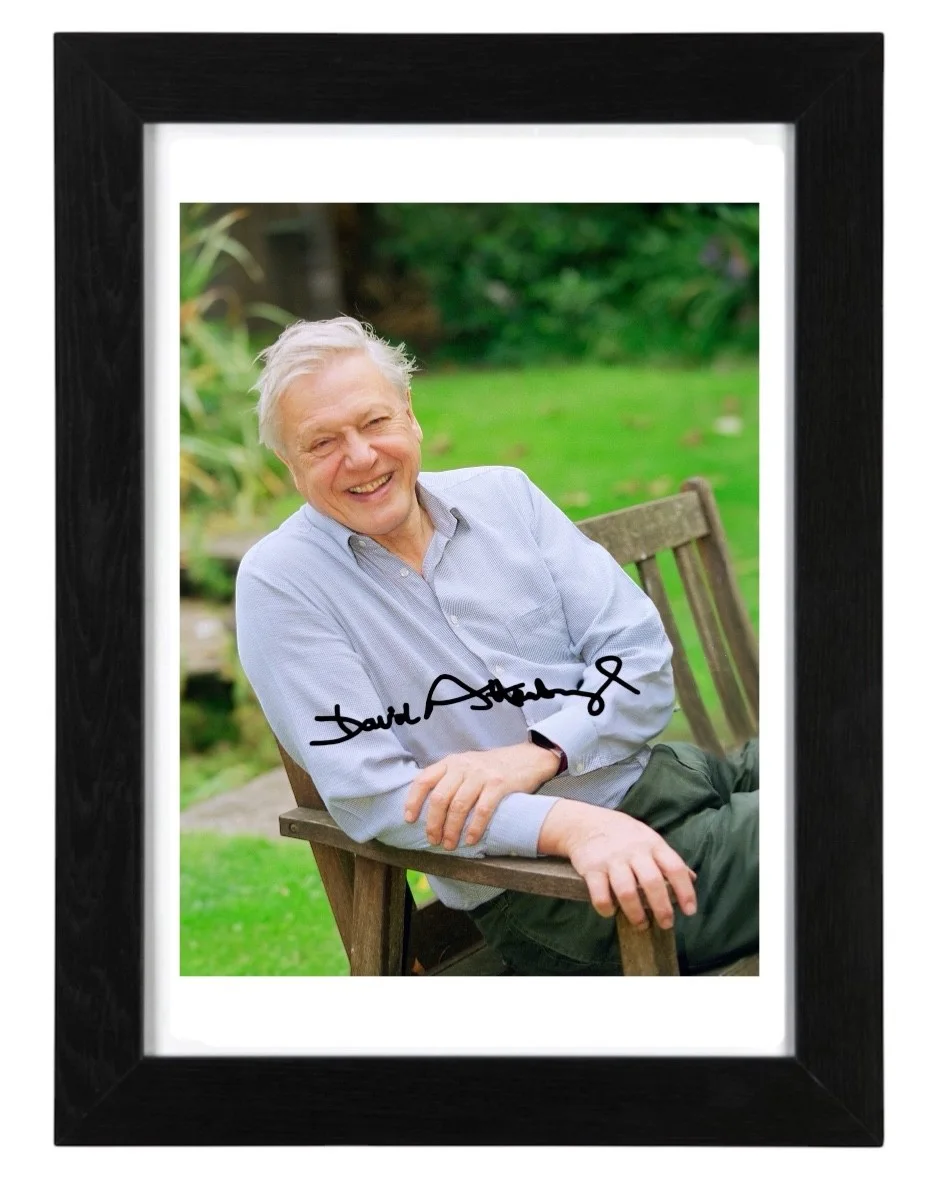 Sir David Attenborough Signed Autograph PHOTO Pre Print 6x4/A4/ Framed, изображение 3