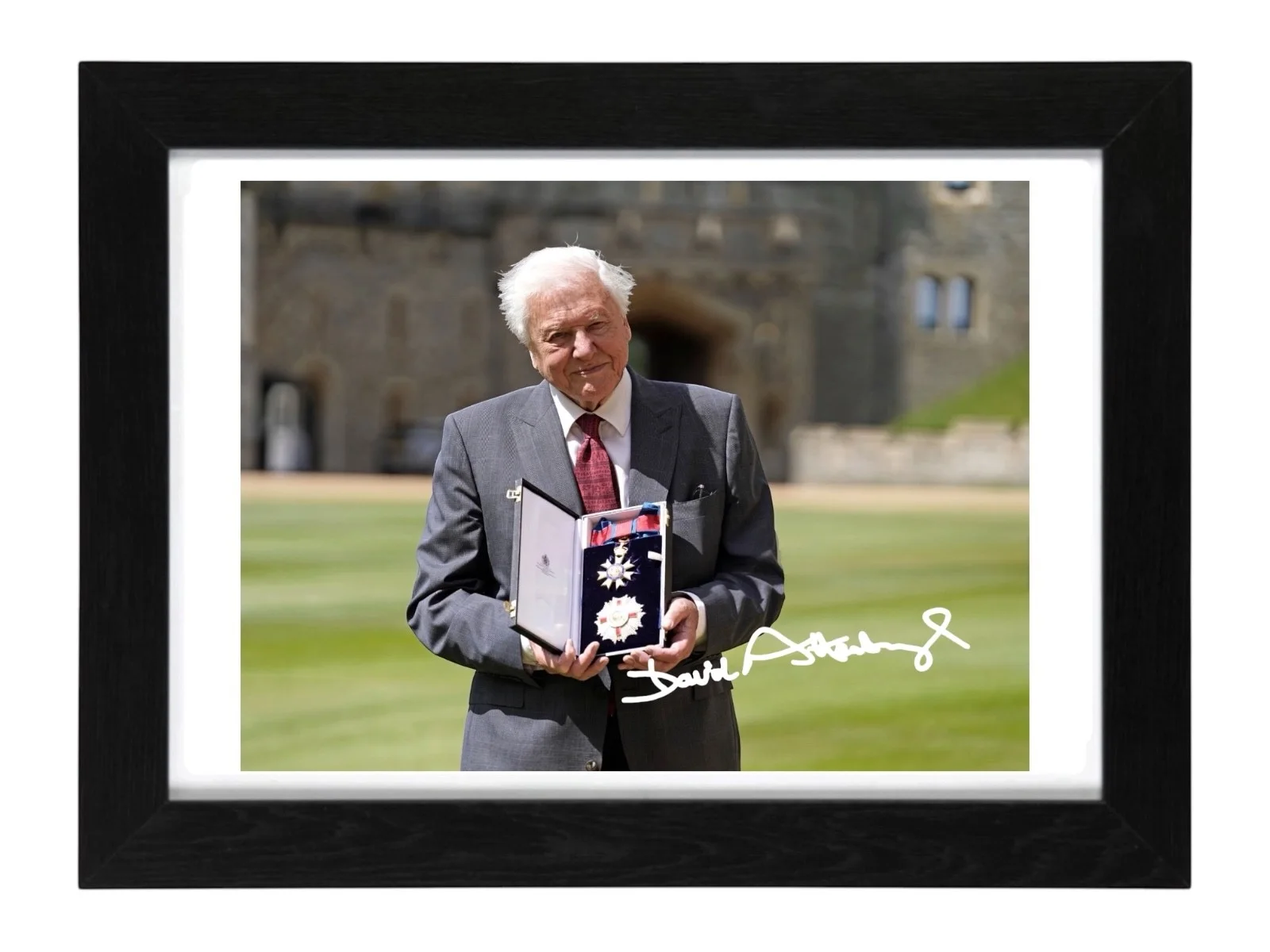 Sir David Attenborough Signed Autograph PHOTO Pre Print 6x4/A4/ Framed, изображение 3