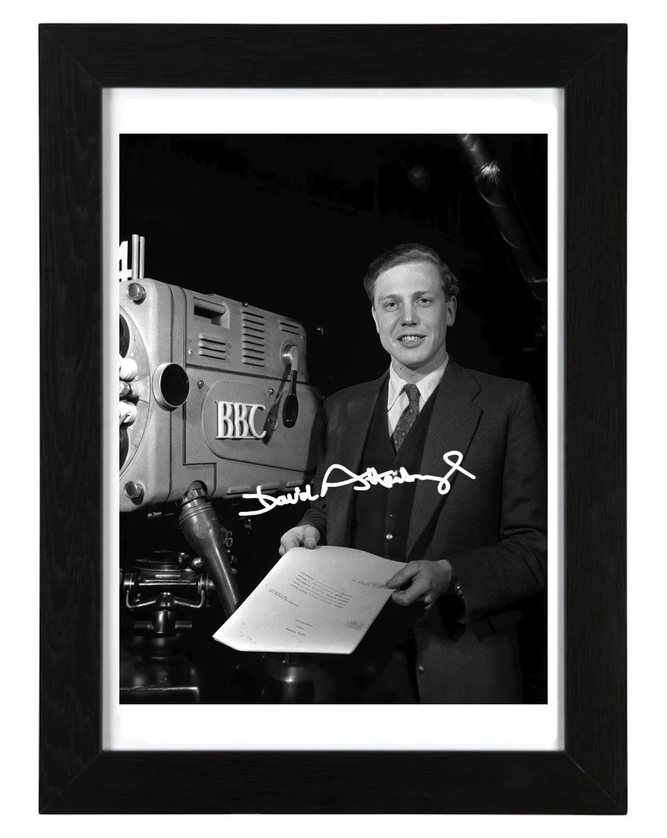 Sir David Attenborough Signed Autograph PHOTO Pre Print 6x4/A4/ Framed, изображение 2