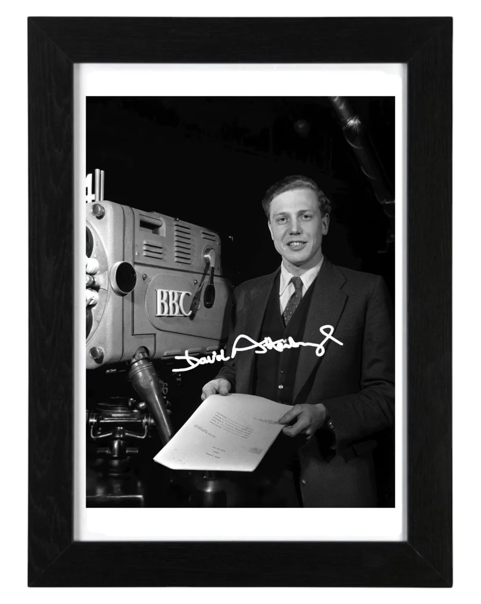 Sir David Attenborough Signed Autograph PHOTO Pre Print 6x4/A4/ Framed, изображение 3