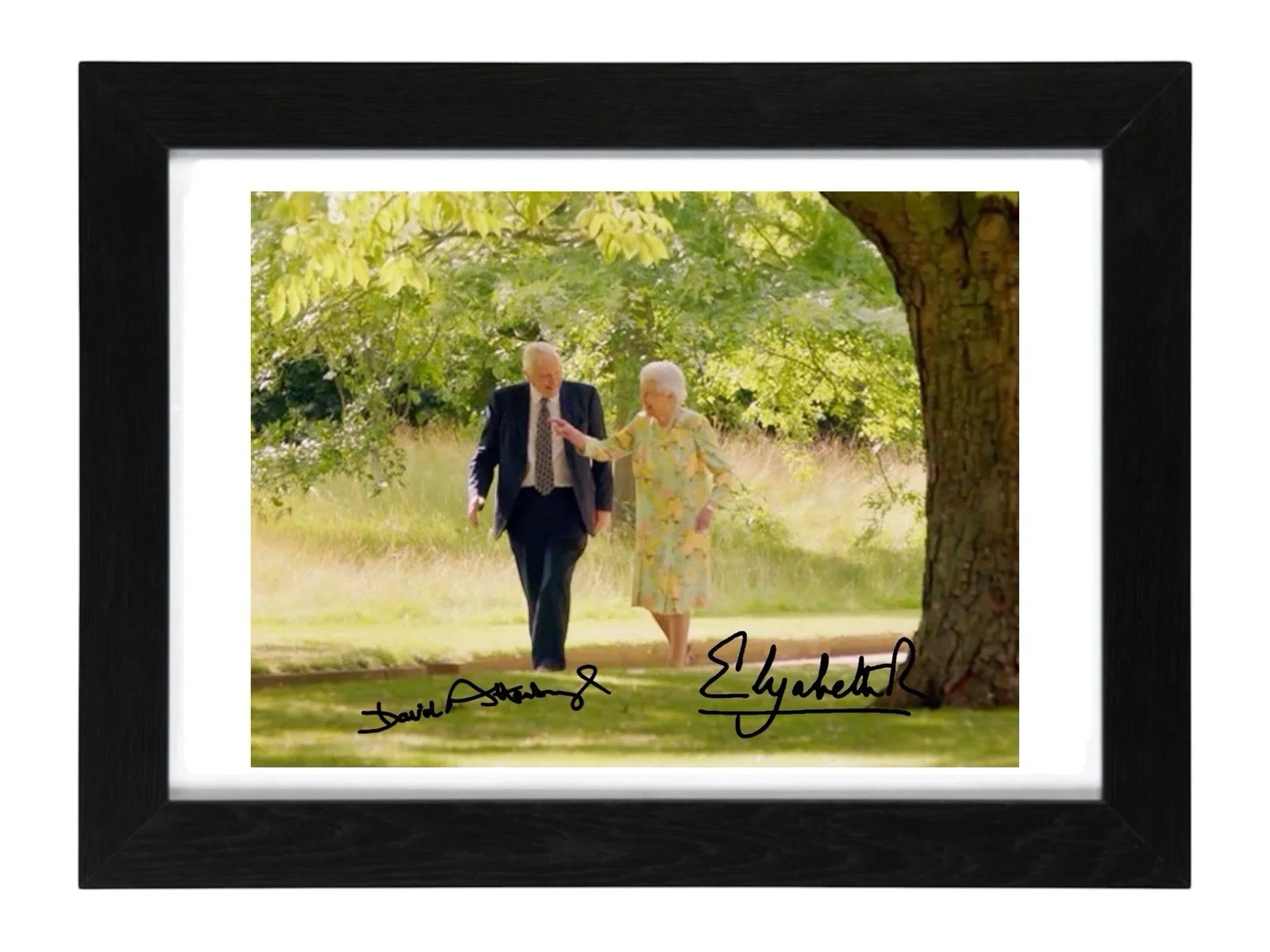 Sir David Attenborough, Queen Signed Autograph PHOTO Pre Print 6x4/A4/ Framed, изображение 2