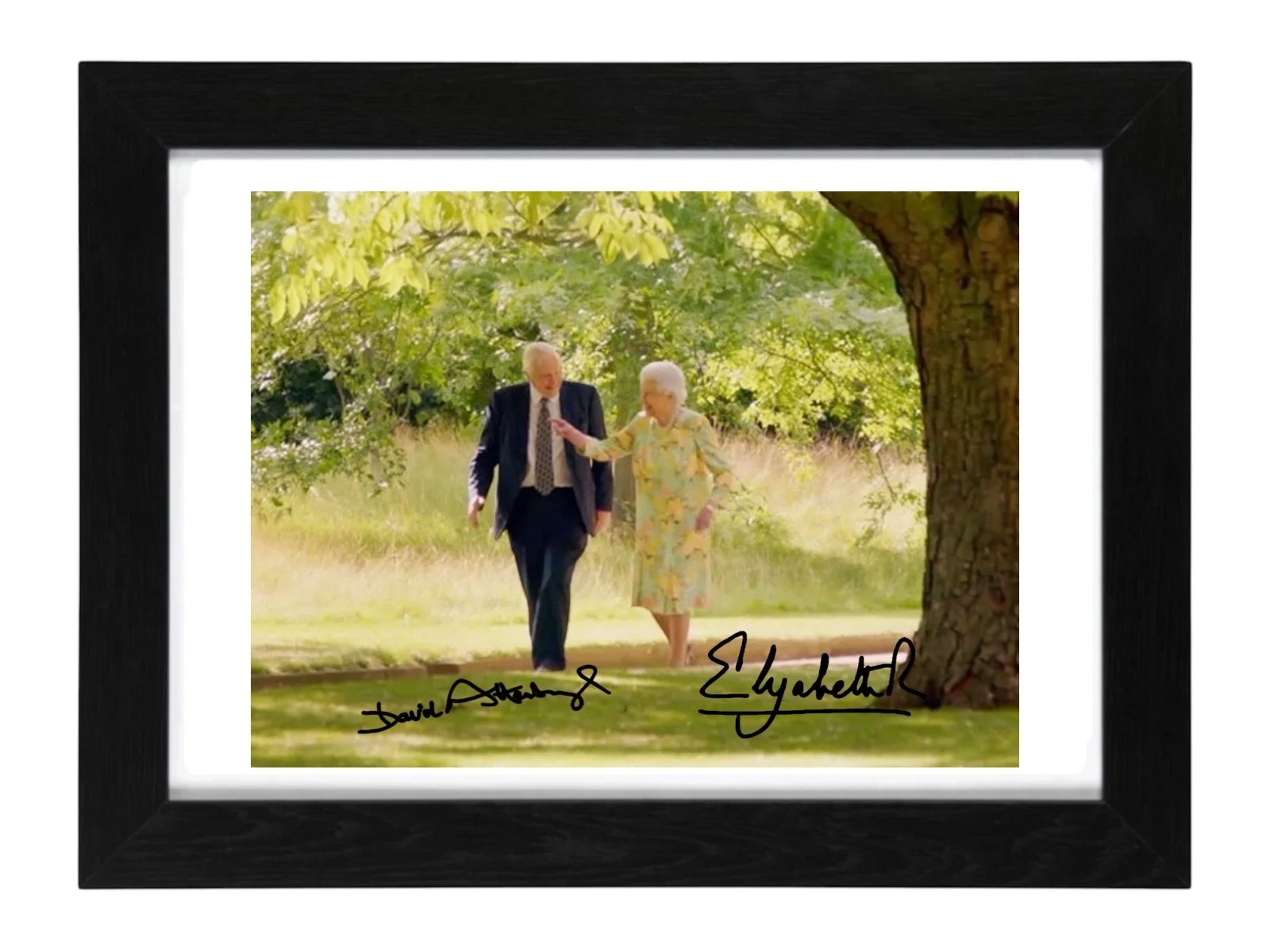 Sir David Attenborough, Queen Signed Autograph PHOTO Pre Print 6x4/A4/ Framed, изображение 3