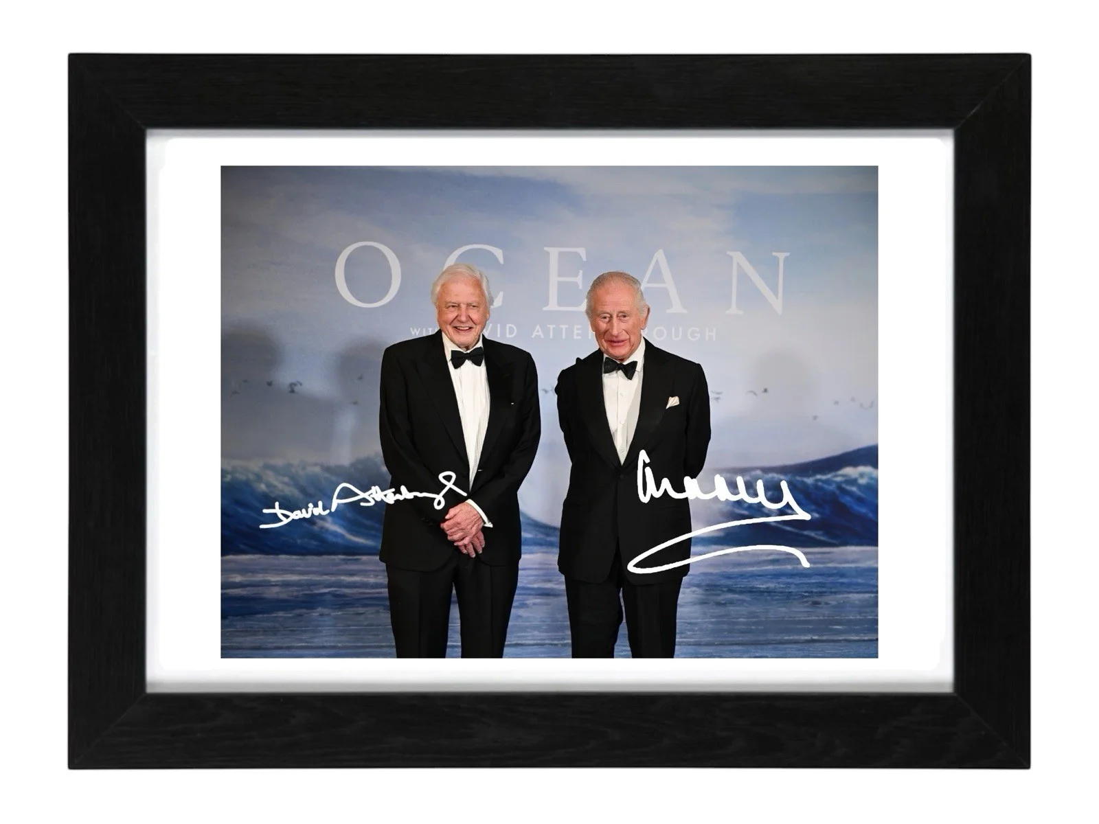 Sir David Attenborough, King Signed Autograph PHOTO Pre Print 6x4/A4/ Framed, изображение 2