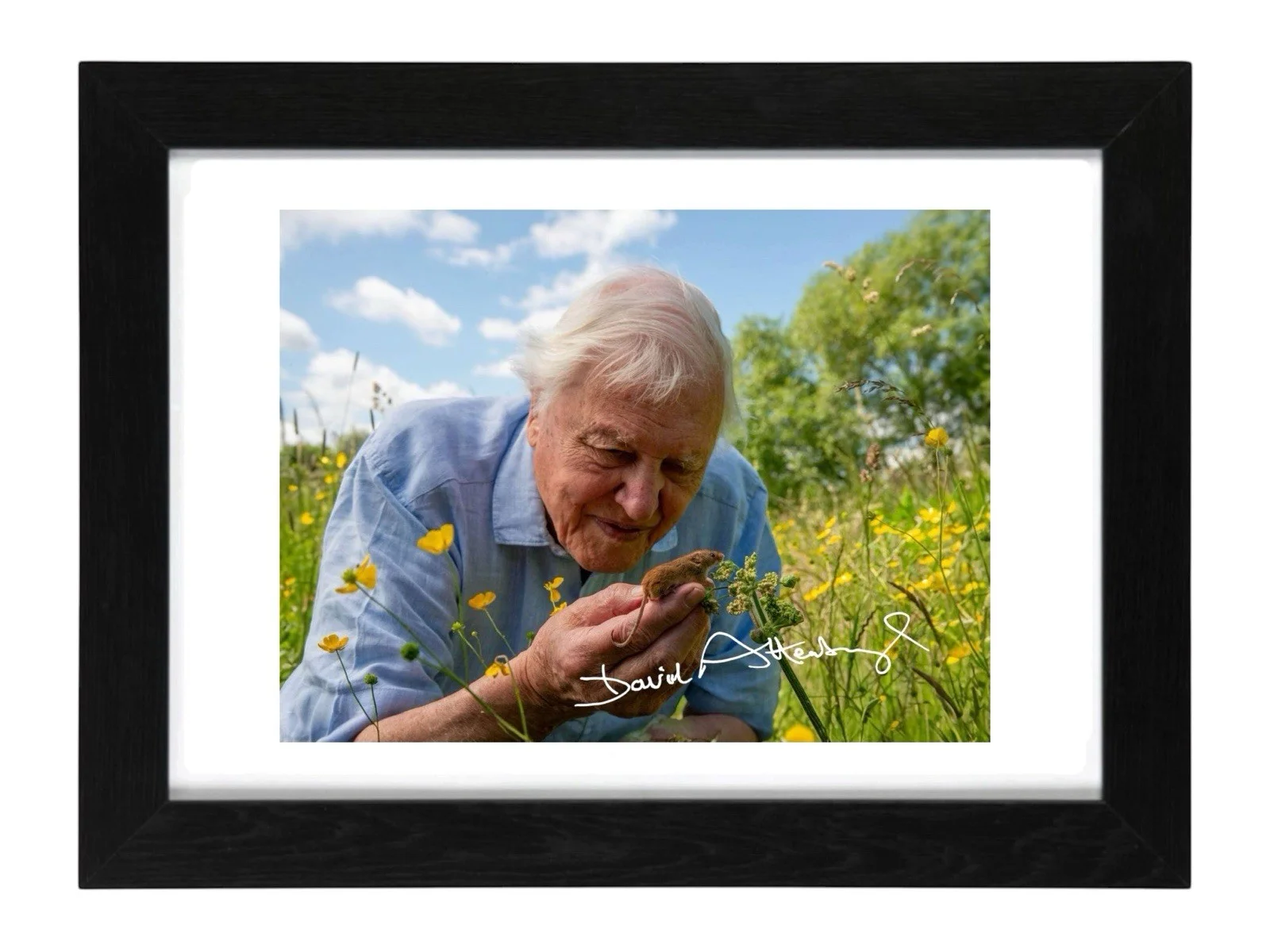 Sir David Attenborough Signed Autograph PHOTO Pre Print 6x4/A4/ Framed, изображение 2