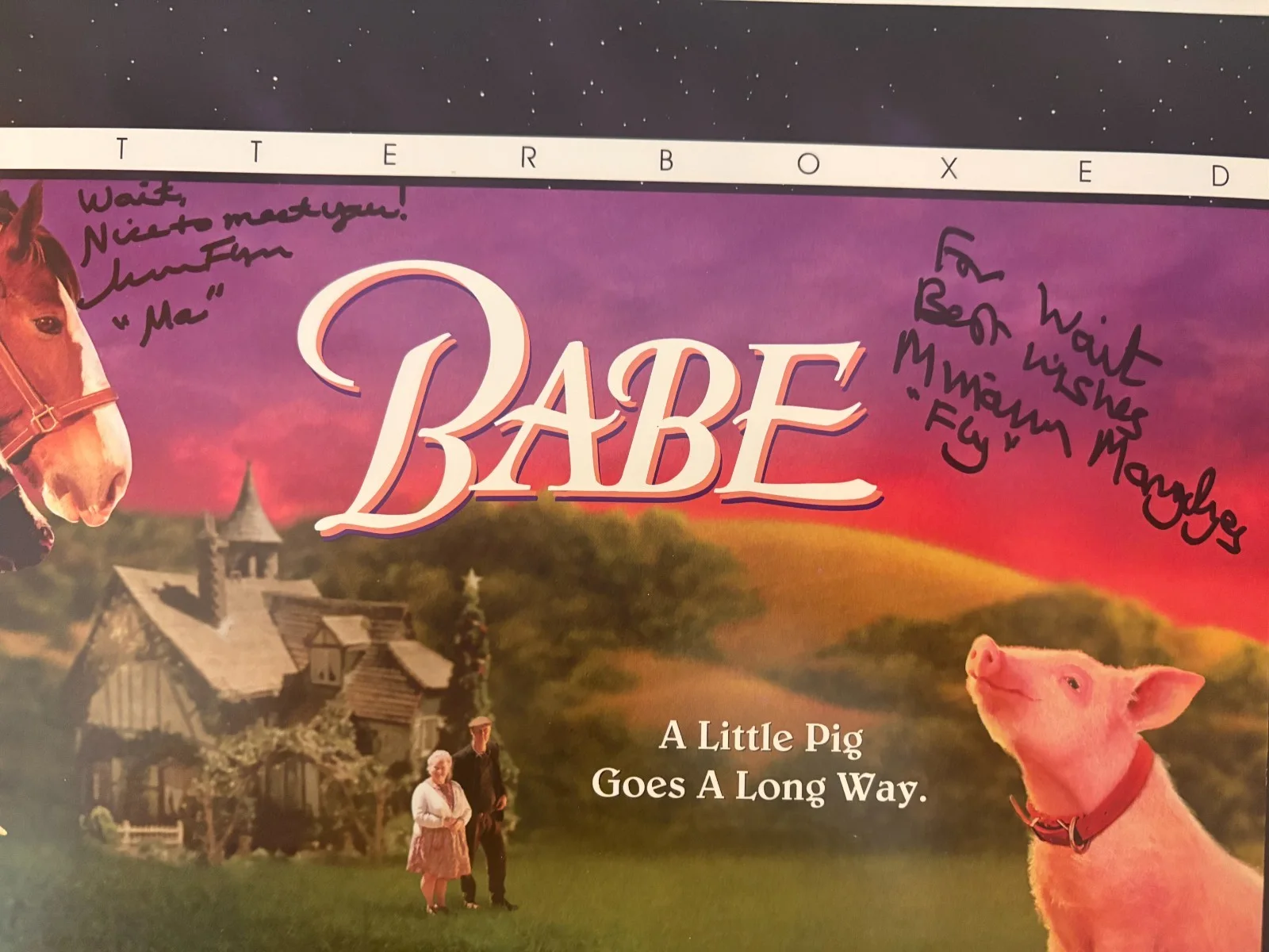 Miriam Margolyes — MOVIE Babe Laserdisc MCA Letterboxed Edition SIGNED Maa & Fly Miriam Margolyes &, image 2