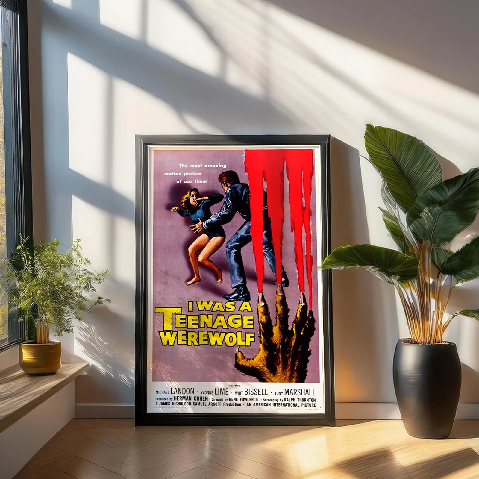 I Was a Teenage Werewolf - 1957 Exploitation Restored 27.2" x 41" US One Sheet, image 4