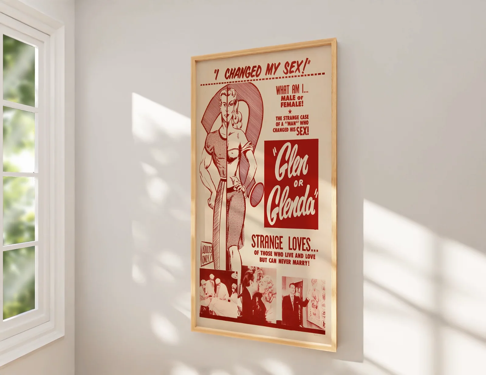 Glen or Glenda - 1953 Exploitation Restored 27.2" x 41" US One Sheet Poster, image 2