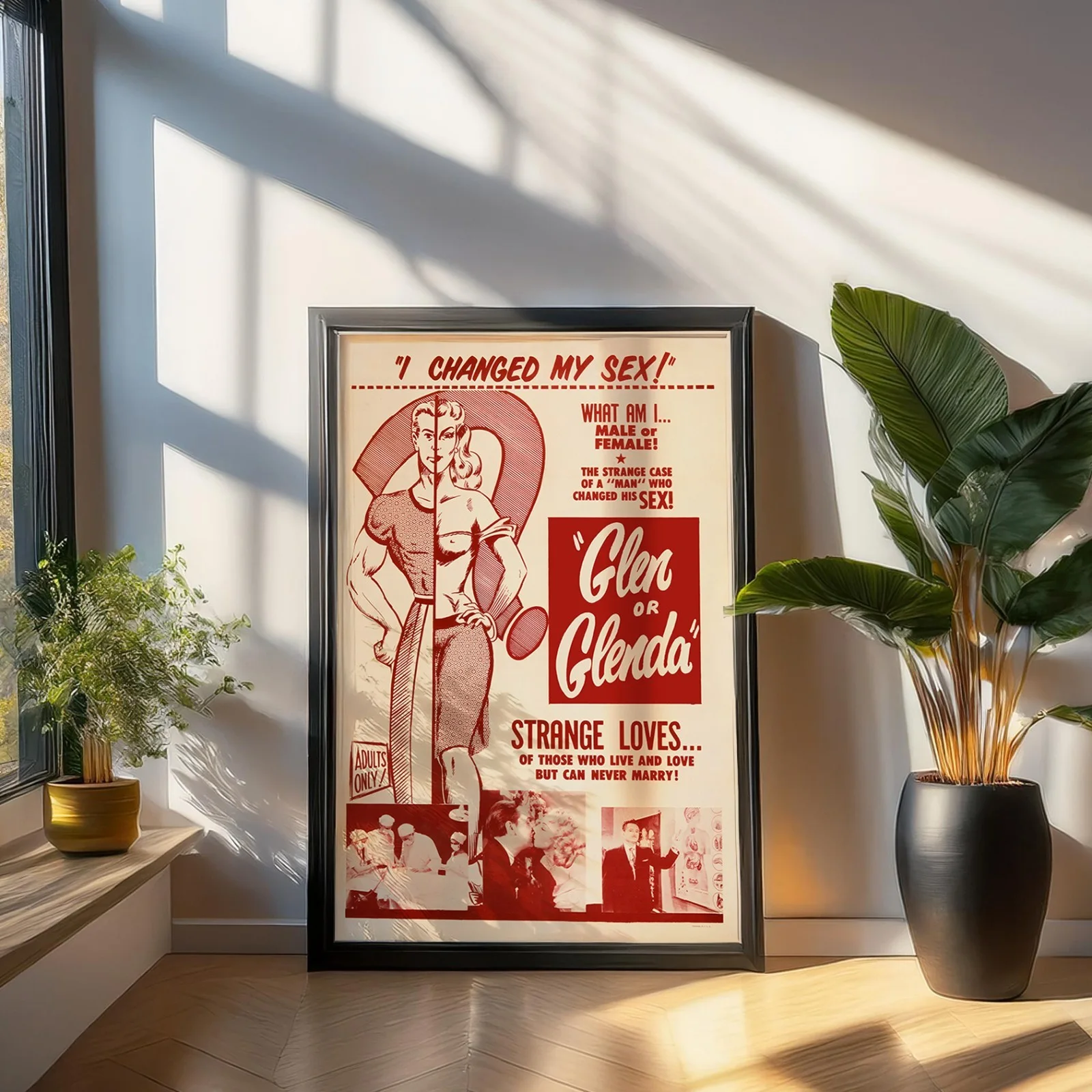 Glen or Glenda - 1953 Exploitation Restored 27.2" x 41" US One Sheet Poster, image 4