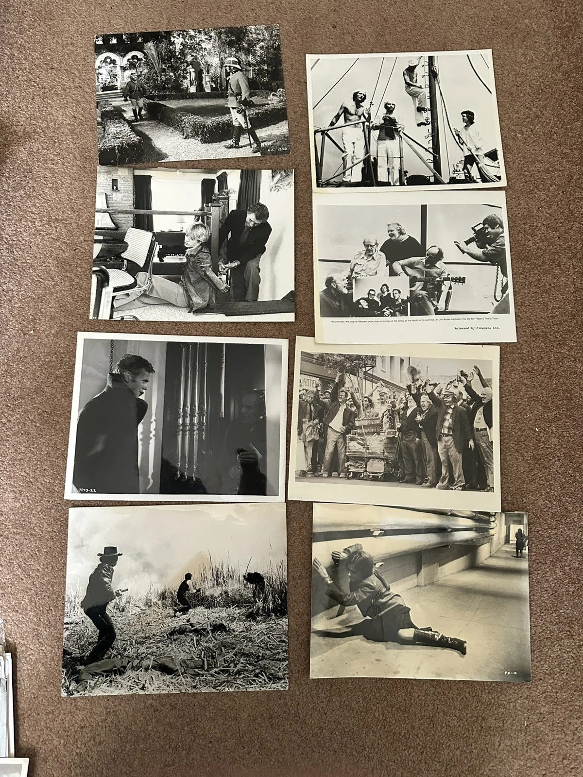 Bundle Of 50 Original Rare Press Photos Blair Brown .. all night long, image 2