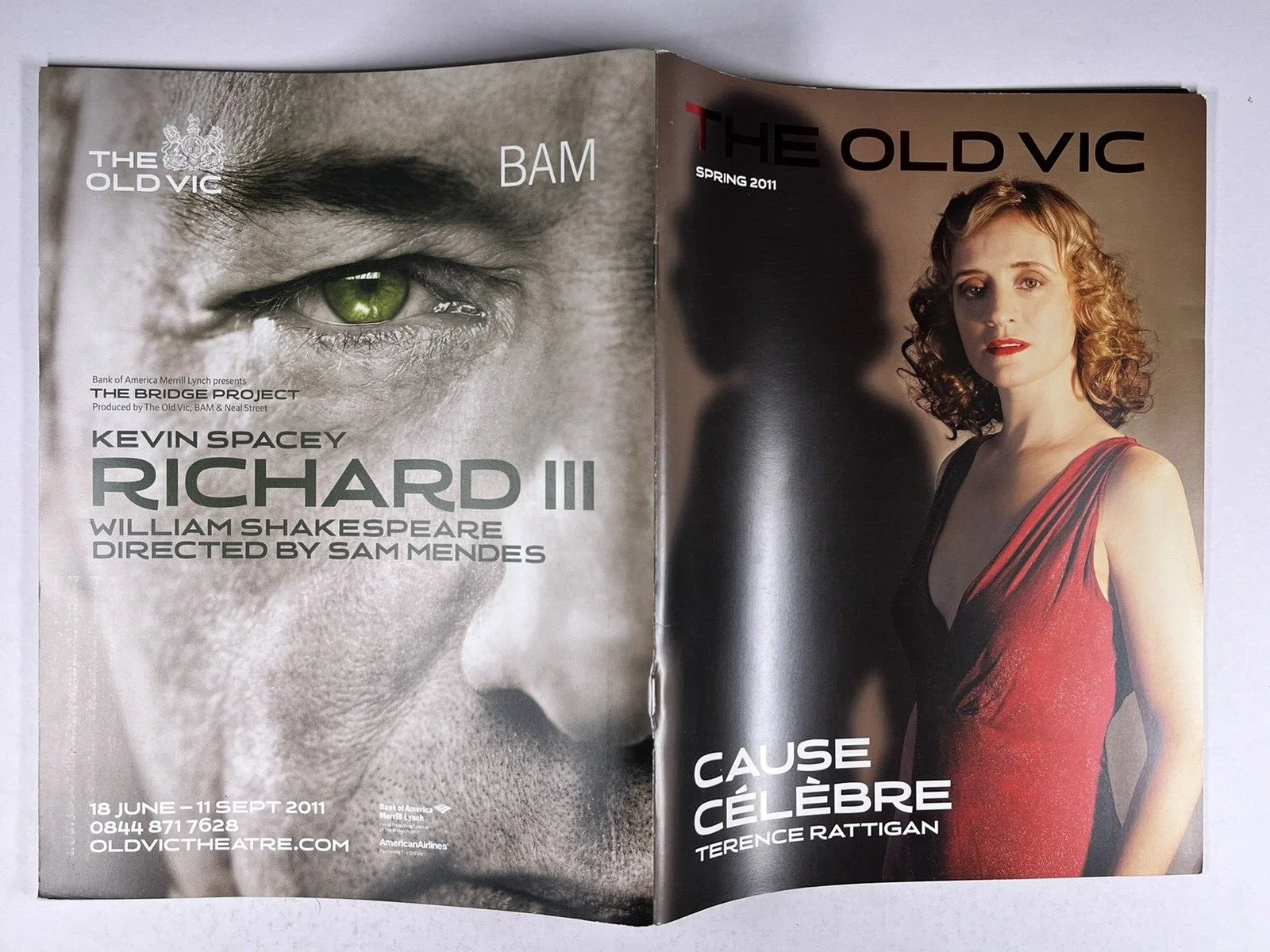 Anne Marie Duff Signed Cause Celebra Theatre Programme The Old Vic Spring 2011, image 3