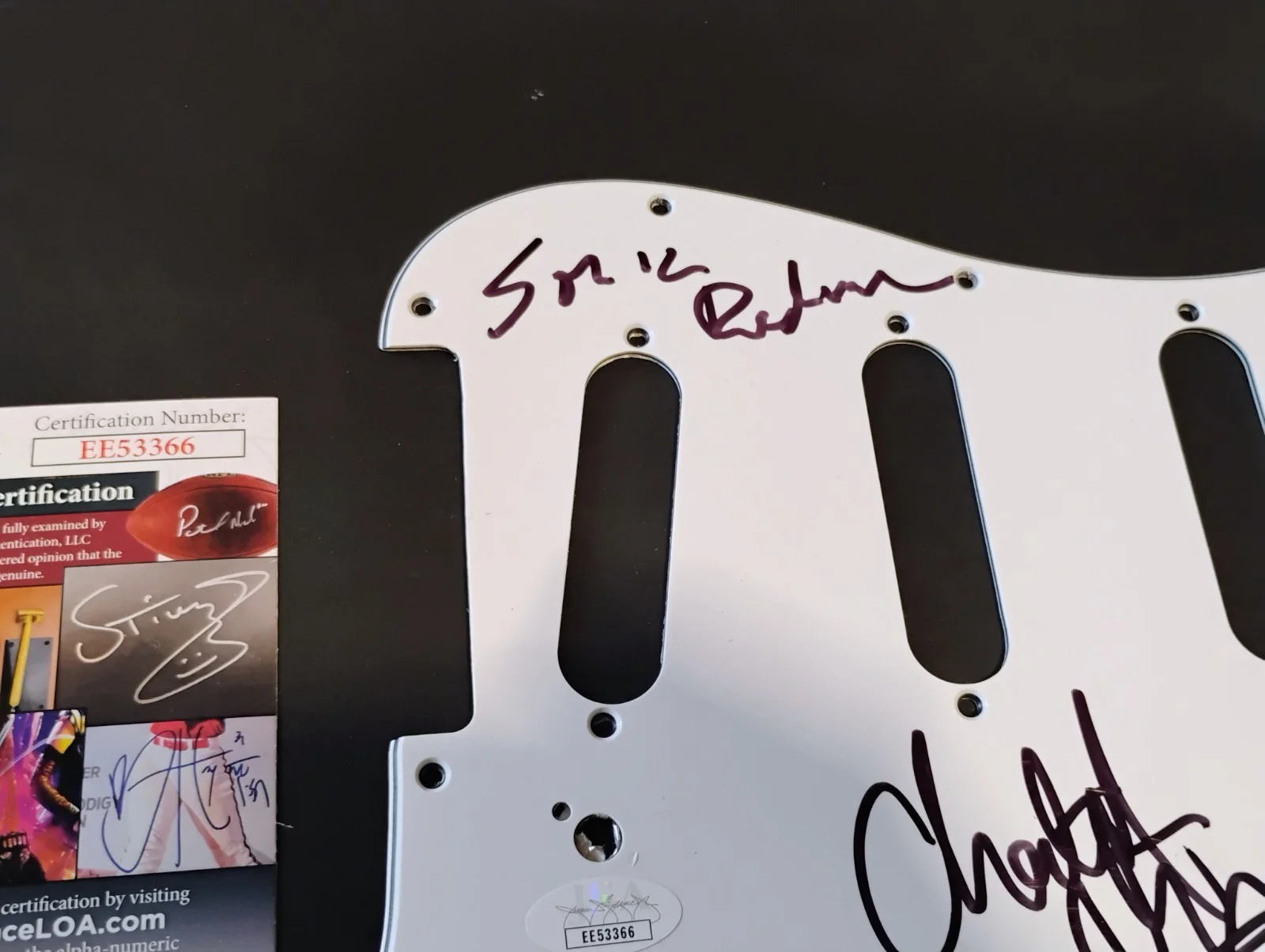Cheetah Chrome signed guitar pickguard JSA autograph Sonic Reducer Dead Boys, image 2