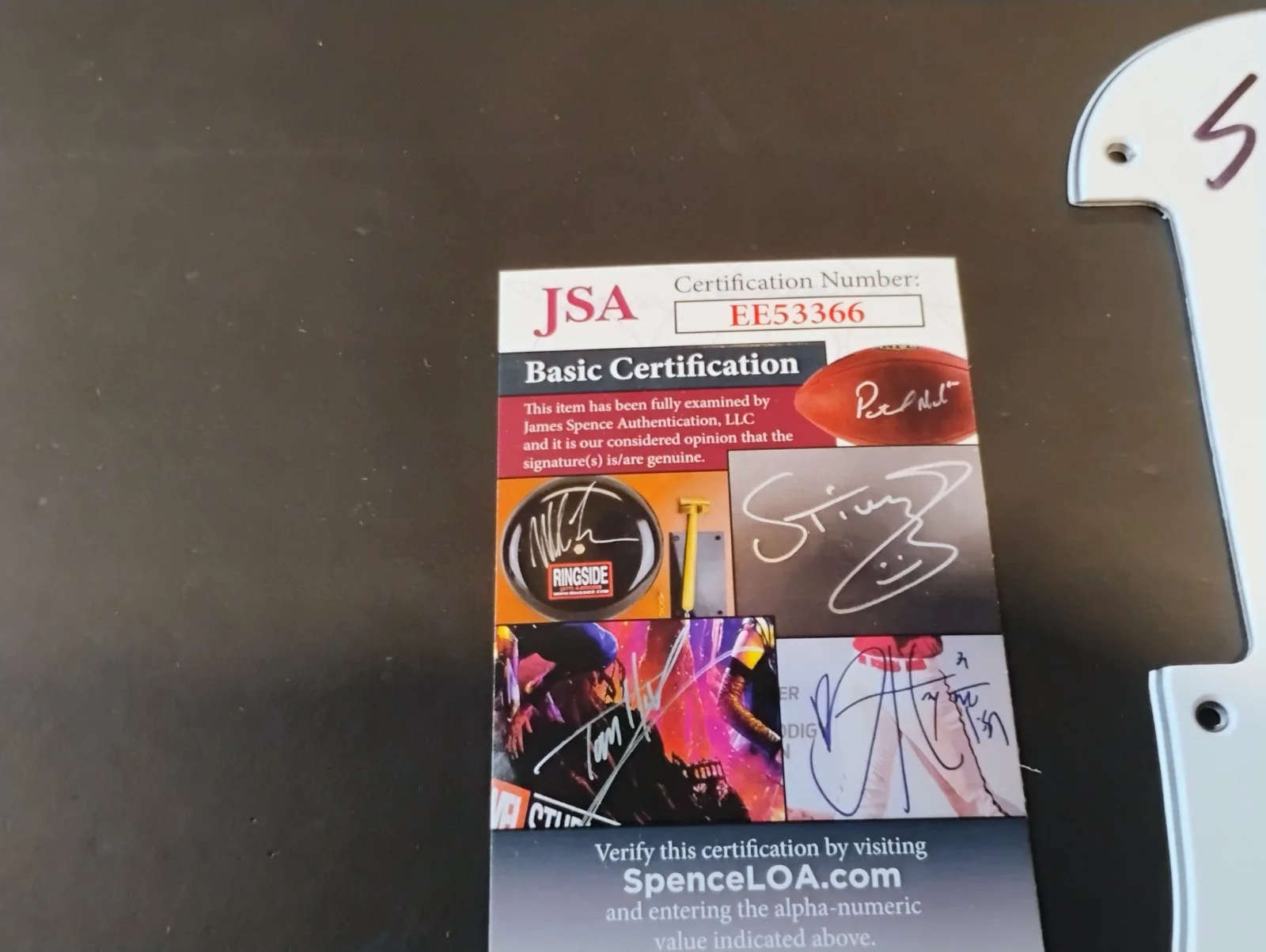 Cheetah Chrome signed guitar pickguard JSA autograph Sonic Reducer Dead Boys, image 5