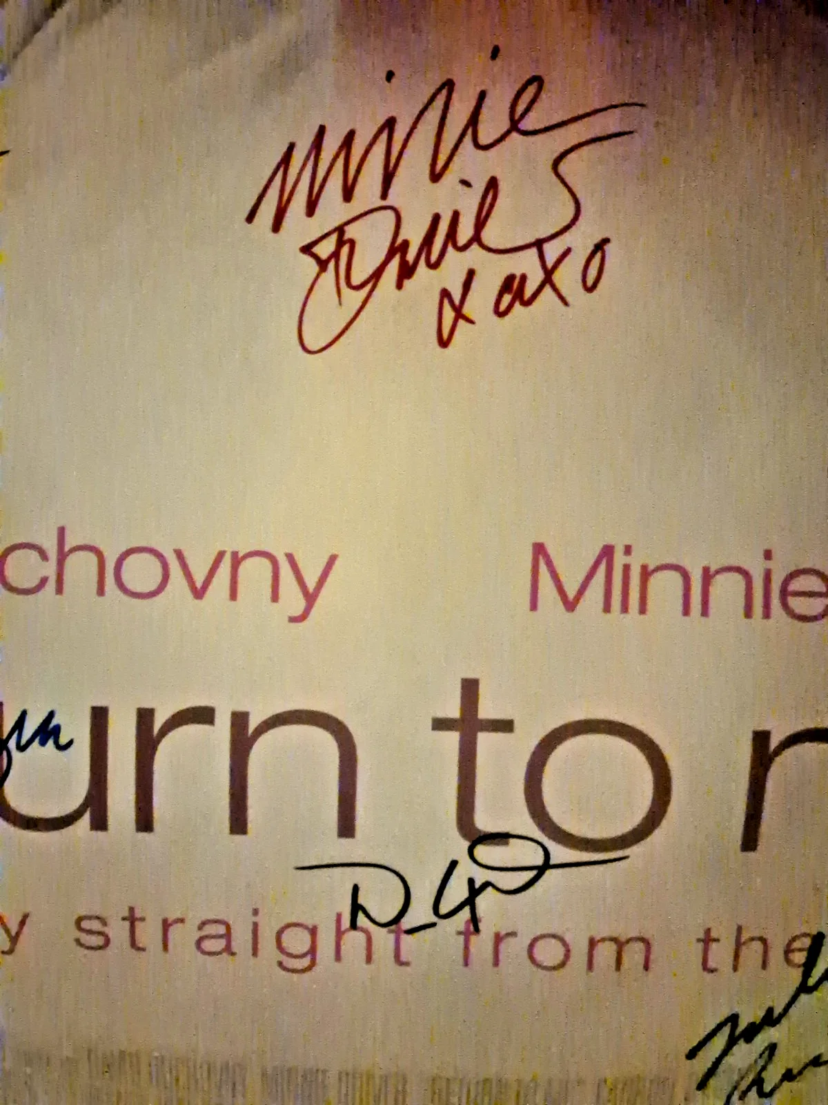 SEE BELOW — RETURN TO ME - CAST SIGNED , 1-SHEET MOVIE POSTER ekim, image 3