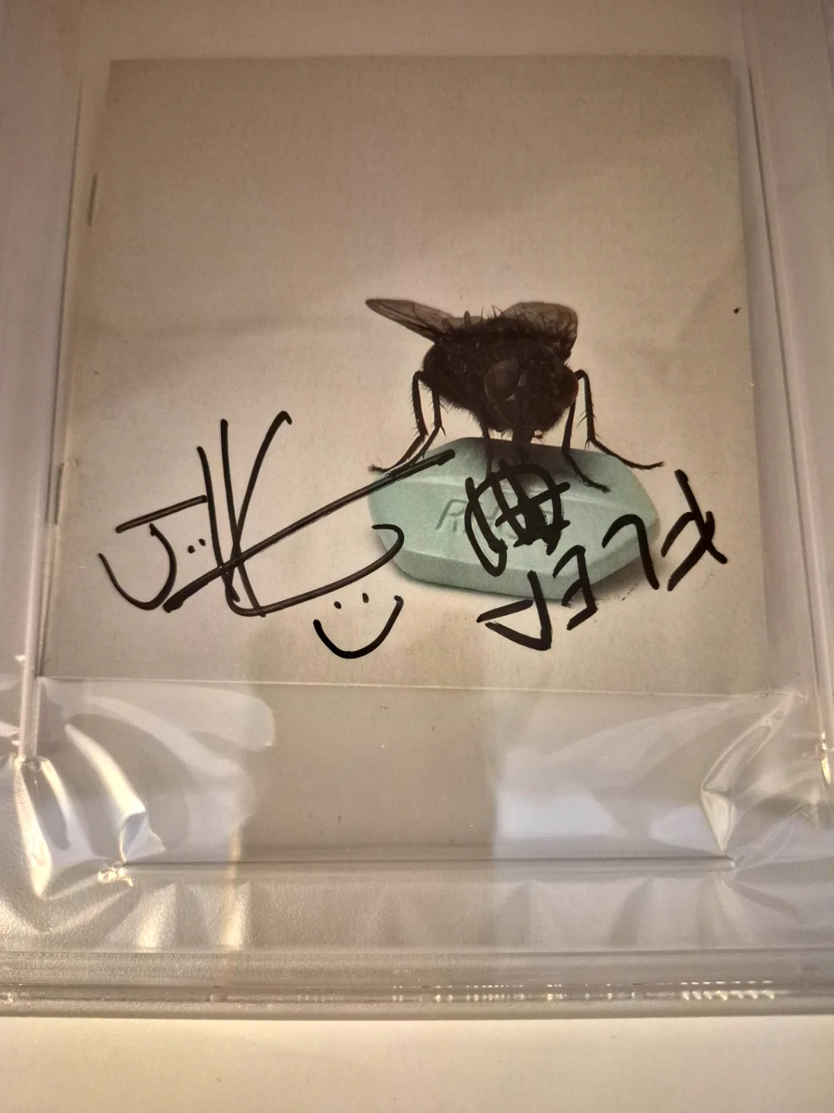 FLEA AND JOSH KLINGHOFFER SIGNED RHCP I'M WITH YOU CD COVER RARE PSA COA ENCAP, image 2