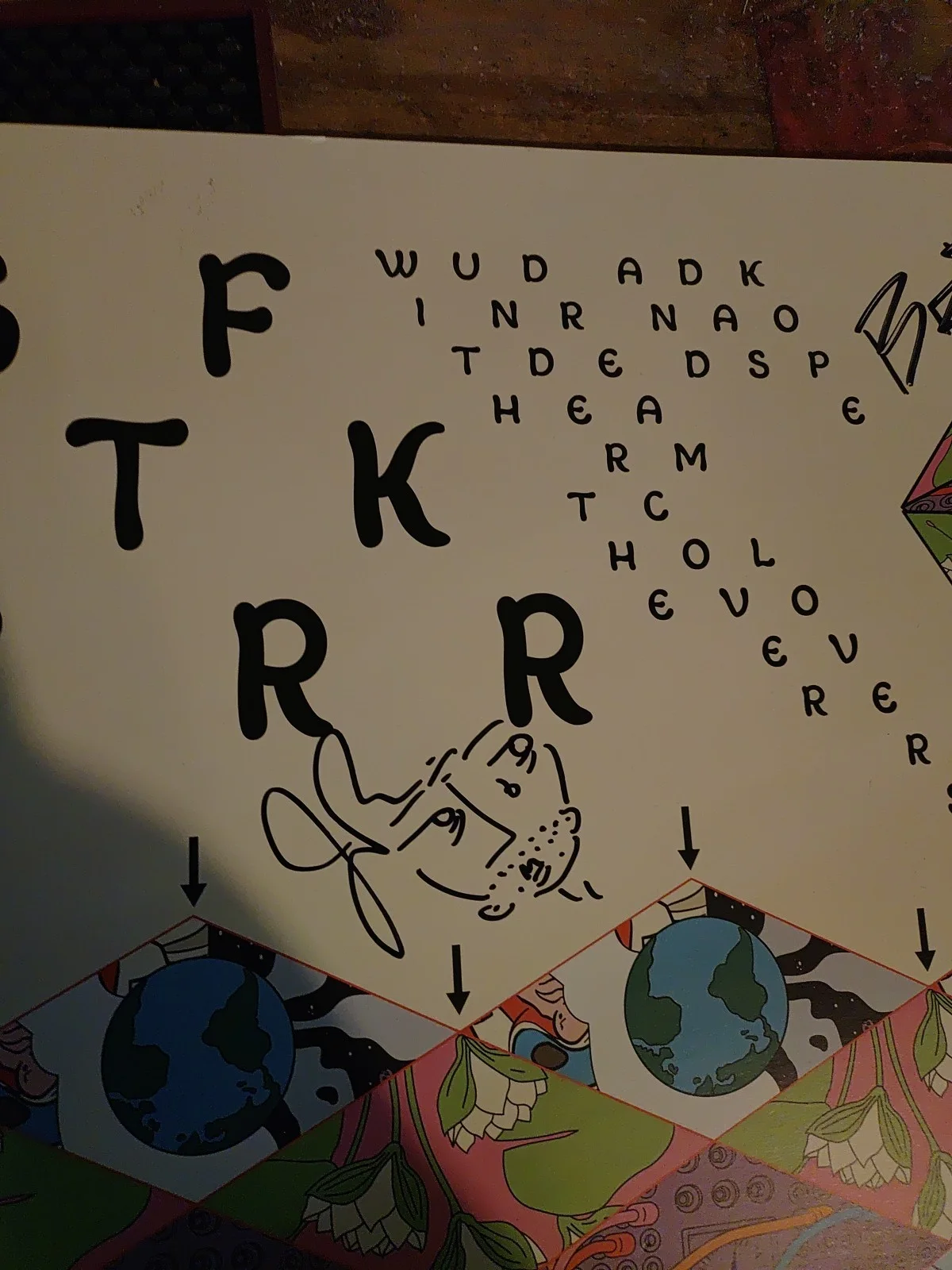 STRFKR 2022 Tour Poster Signed By Band Great Condition, image 3
