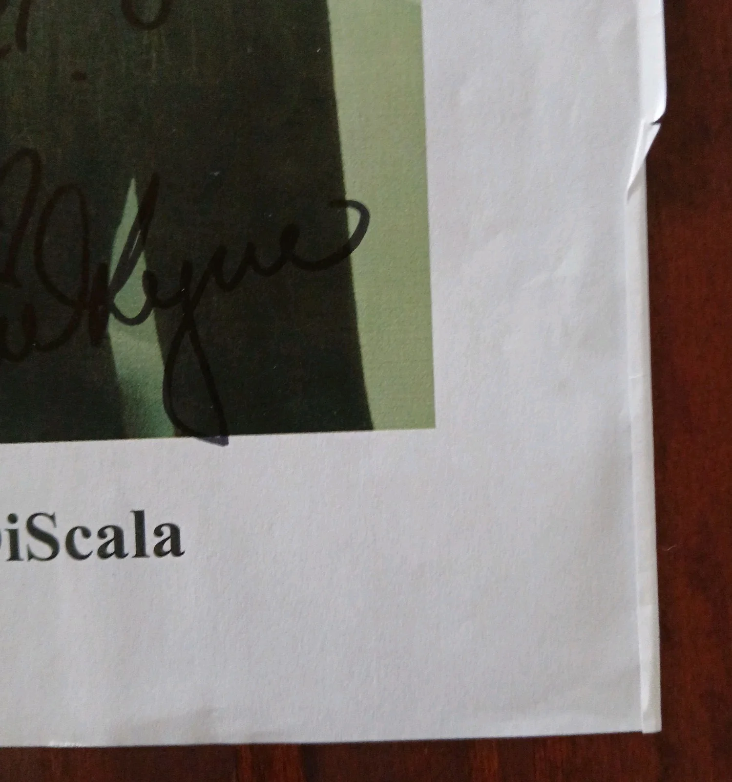 jamie lynn discala — jamie lynn discala signed 8.5x11 pic long Inscription meadow the sopranos actres, изображение 3