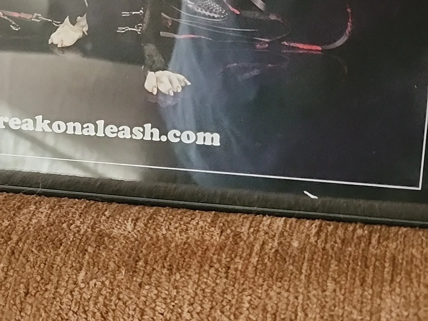 KORN Jonathan Davis SIGNED & FRAMED 11x17 Poster., image 3