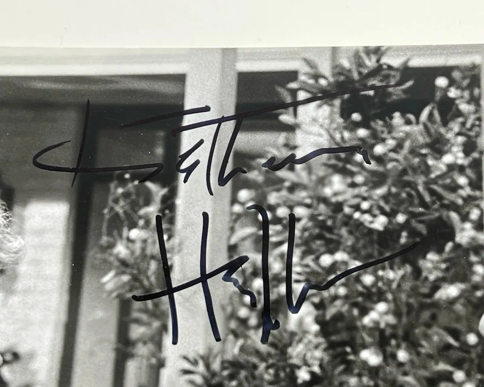 Katherine Hepburn — Vintage Katherine Hepburn Autograph Signed Photo "Guess Who's Coming to Dinner", изображение 2