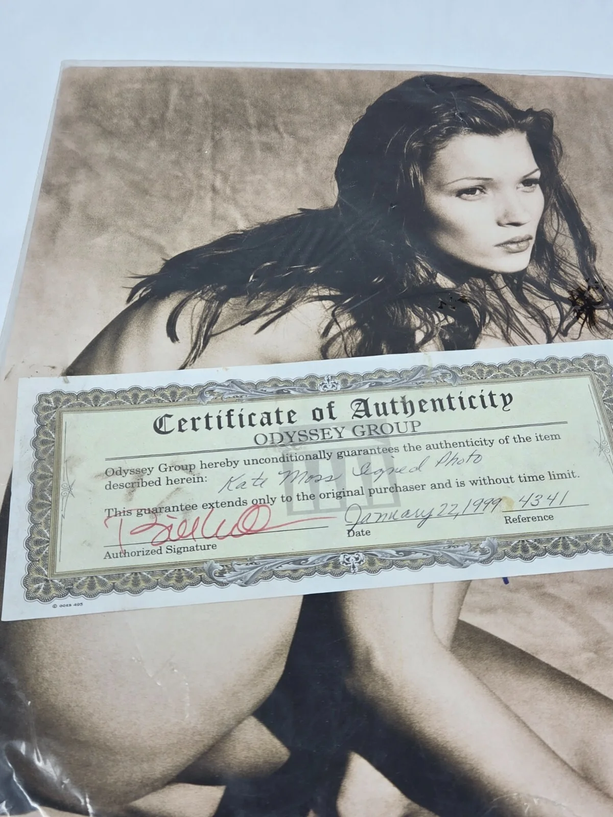 VTG KATE MOSS 1999 AUTOGRAPH SIGNED COLOR GLOSSY PHOTO 14X11 ODYSSEY GROUP COA, изображение 2