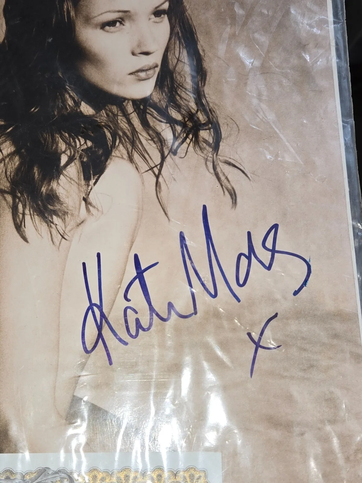 VTG KATE MOSS 1999 AUTOGRAPH SIGNED COLOR GLOSSY PHOTO 14X11 ODYSSEY GROUP COA, изображение 4