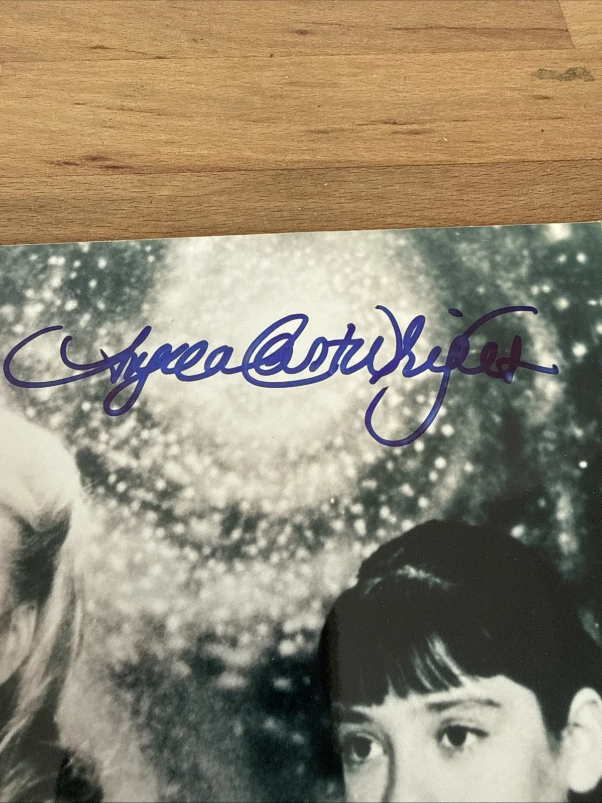 Marta Kristen, Angela Cartwright, Mark Goddard, Billy Mumy — LOST IN SPACE TV CAST - PHOTOGRAPH SIGNED WITH CO-SIGNERS 11x14, изображение 3