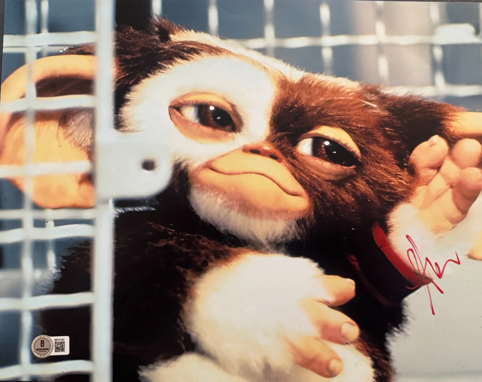 Howie Mandel — *GIZMO IN GREMLINS* HOWIE MANDEL SIGNED 11X14 PHOTO BECKETT AUTO