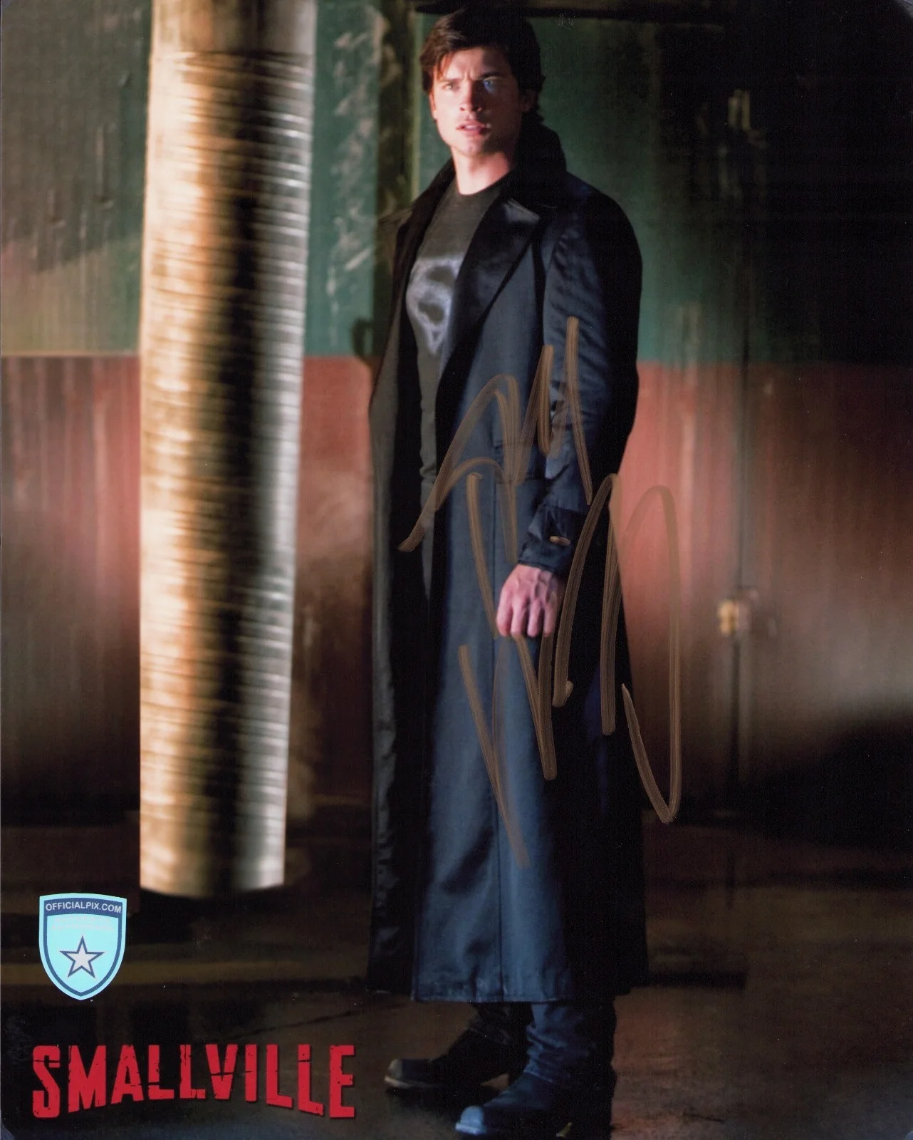 Tom Welling — Signed Tom Welling Smallville Superman Clark Kent 8x10 w/ Official Pix COA