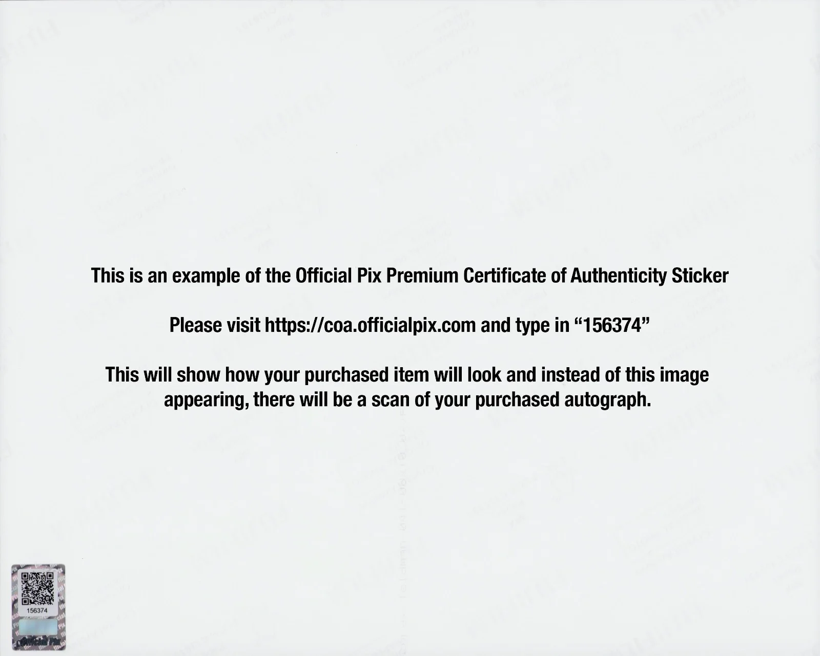 Omri Katz — Signed Omri Katz Hocus Pocus Max Dennison 8x10 w/ Official Pix COA, image 2