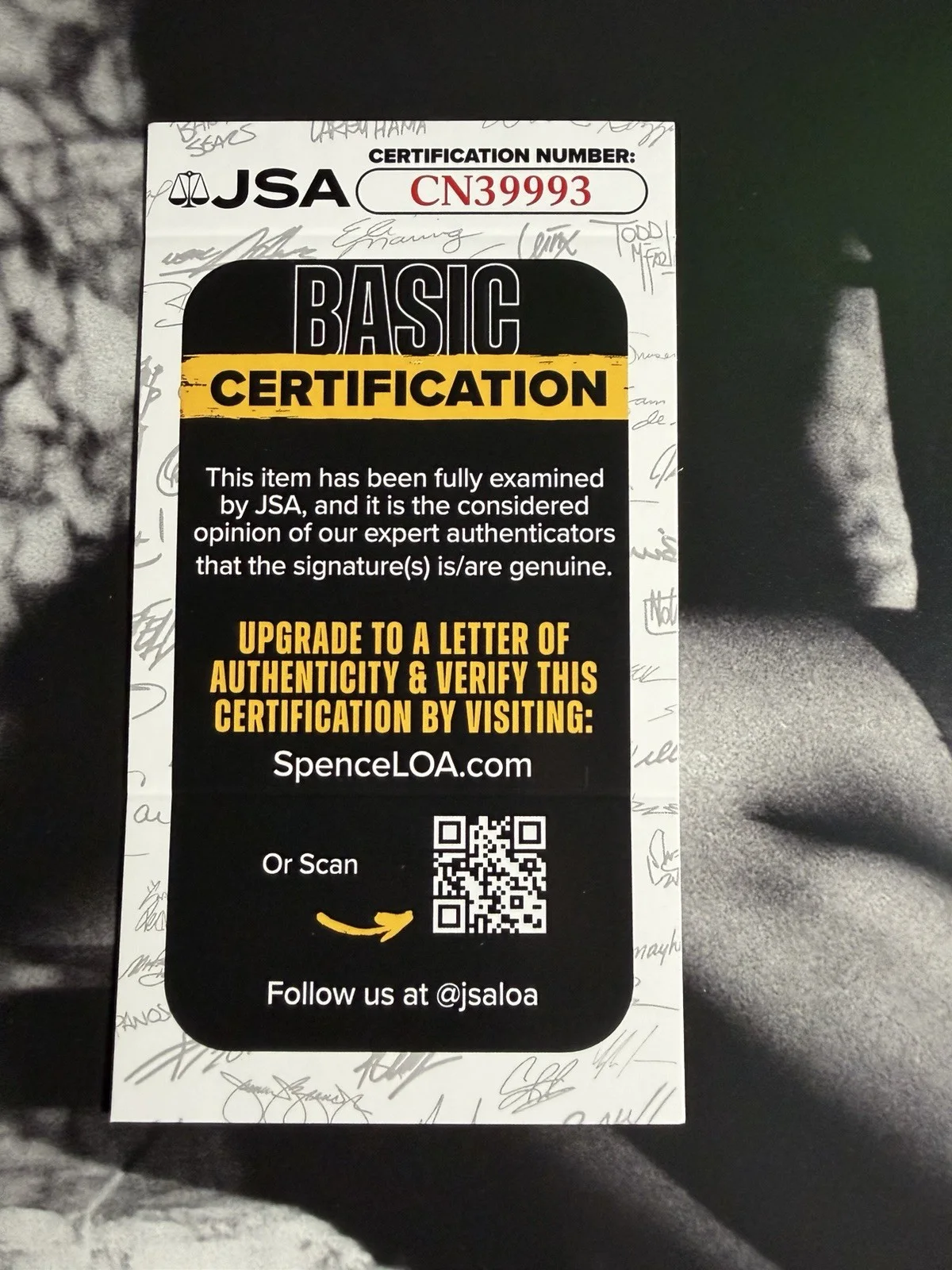 JESSIE MURPH SIGNED SEX HYSTERIA 12x12 ALBUM + Insert - JSA COA, изображение 2