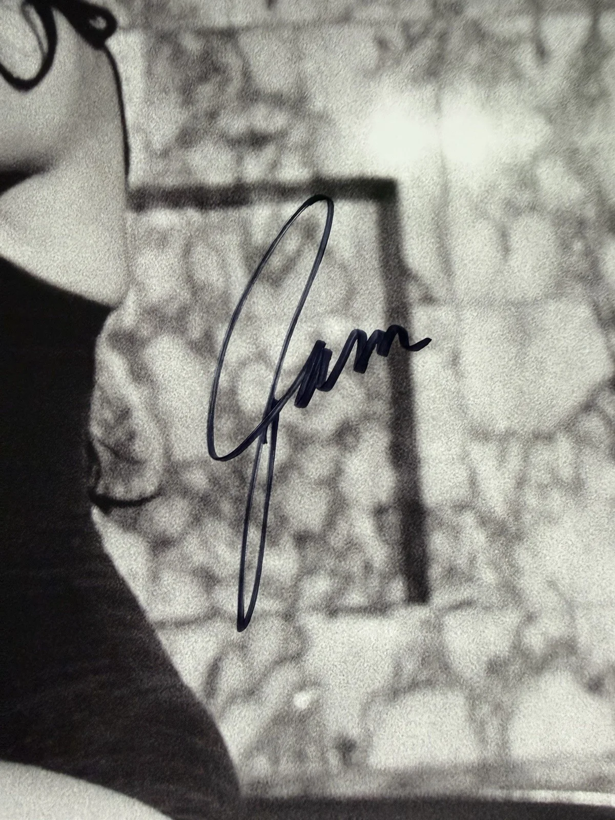 JESSIE MURPH SIGNED SEX HYSTERIA 12x12 ALBUM + Insert - JSA COA, изображение 3