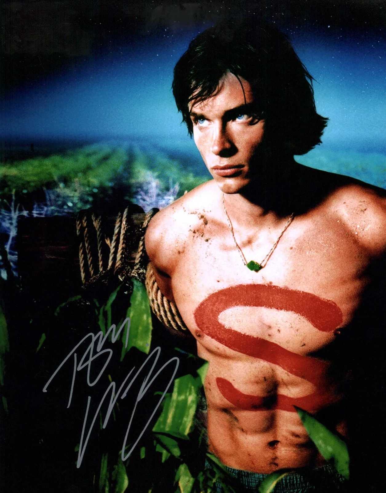 Tom Welling — Tom Welling Smallville 11x14 Photo Poster Signed JSA Certified Autograph