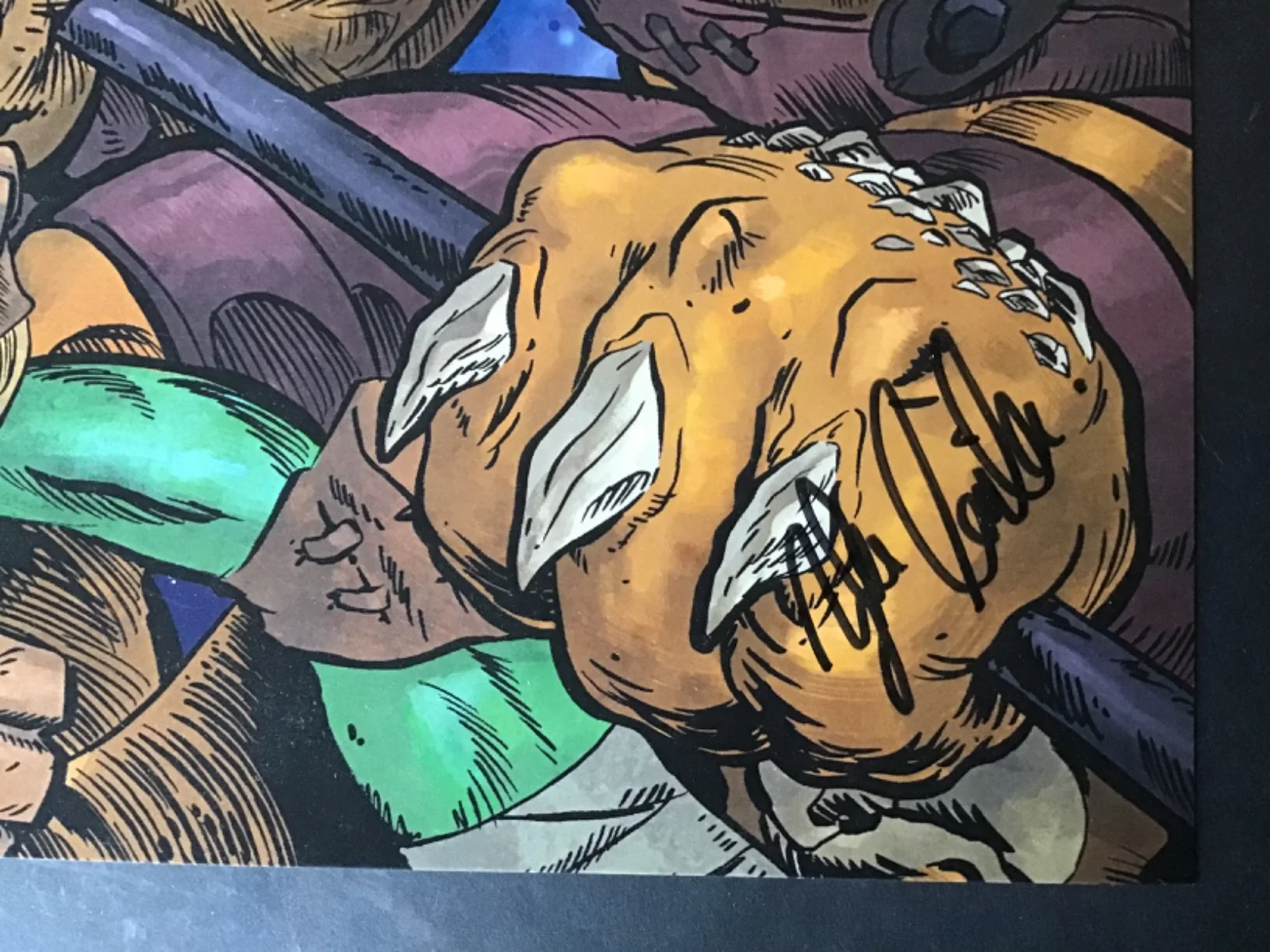 ROB PAULSEN Greg Cipes ZELDA WILLIAMS — TEENAGE MUTANT NINJA TURTLES Signed WONDERCON 2016 Rob Paulsen GREG CIPES + SDCC, image 4