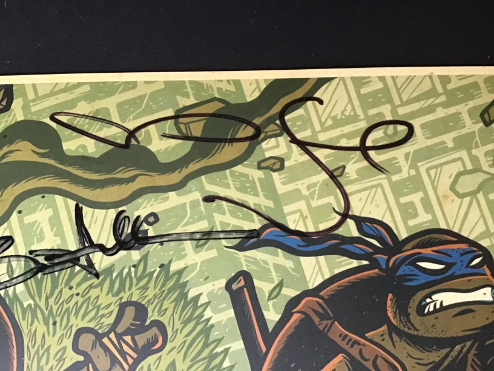 MEGAN FOX, STEPHEN AMELL — TEENAGE MUTANT NINJA TURTLES Signed MEGAN FOX Stephen Amell WONDERCON SDCC 2016, изображение 5