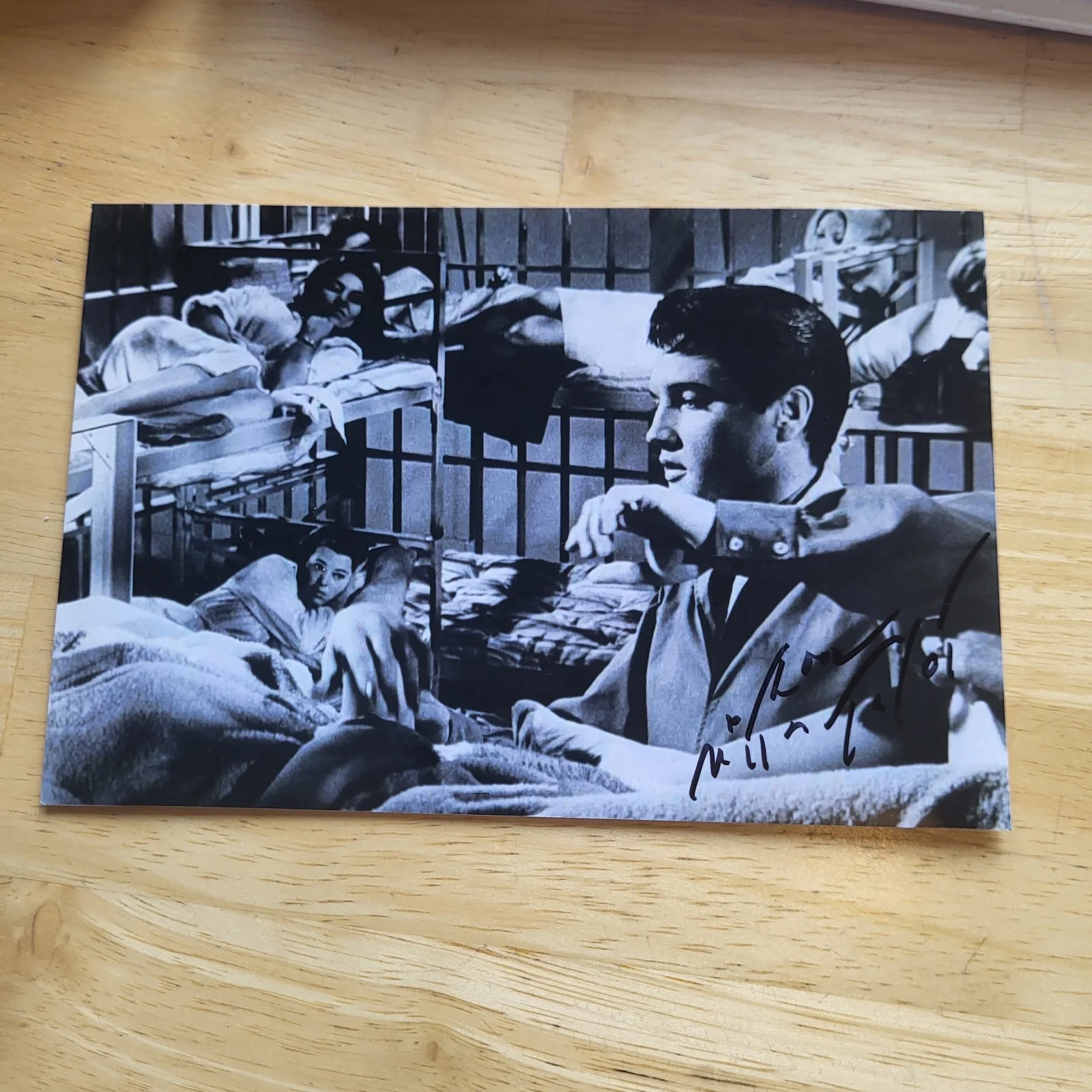 Nita Talbot — Nita Talbot Girl Happy Elvis Movie Hand Signed 4x6 Autograph
