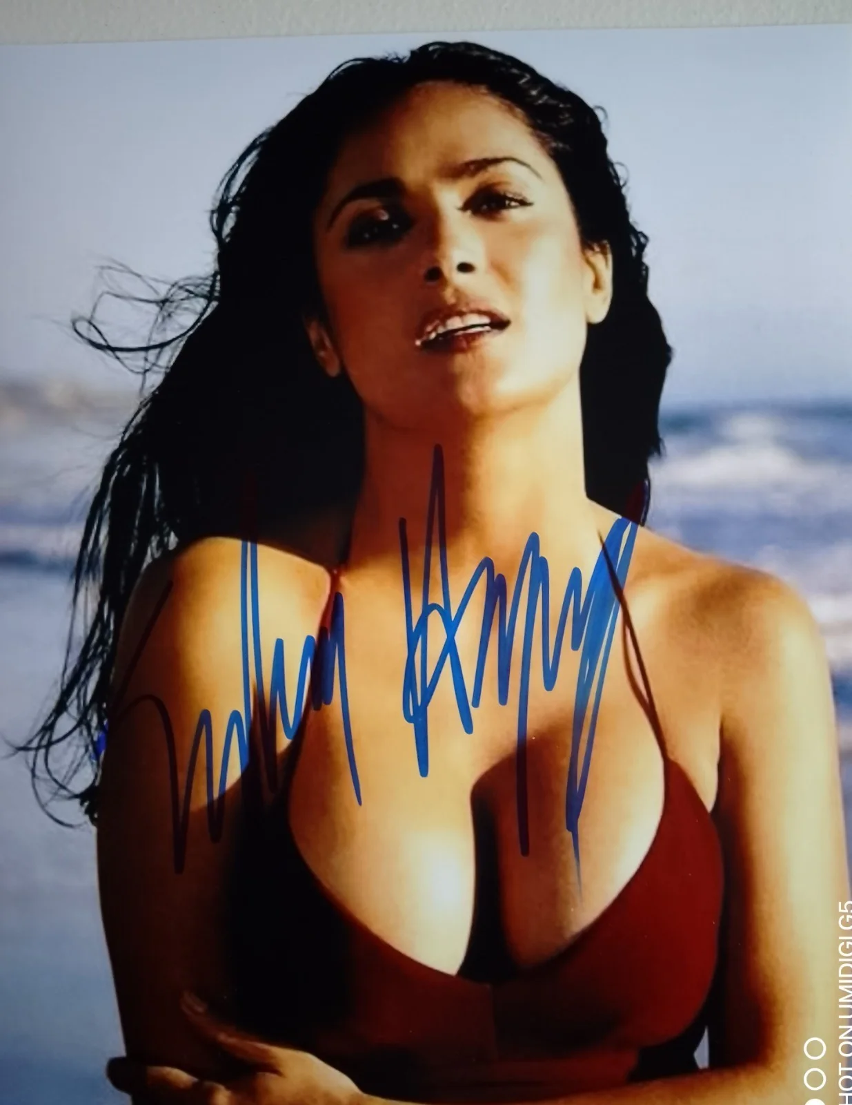 SALMA HAYEK — SALMA HAYEK 8.5X11 SIGNED PHOTO AUTOGRAPH ORIGINAL MEXICAN SIGNATURE REPRINT